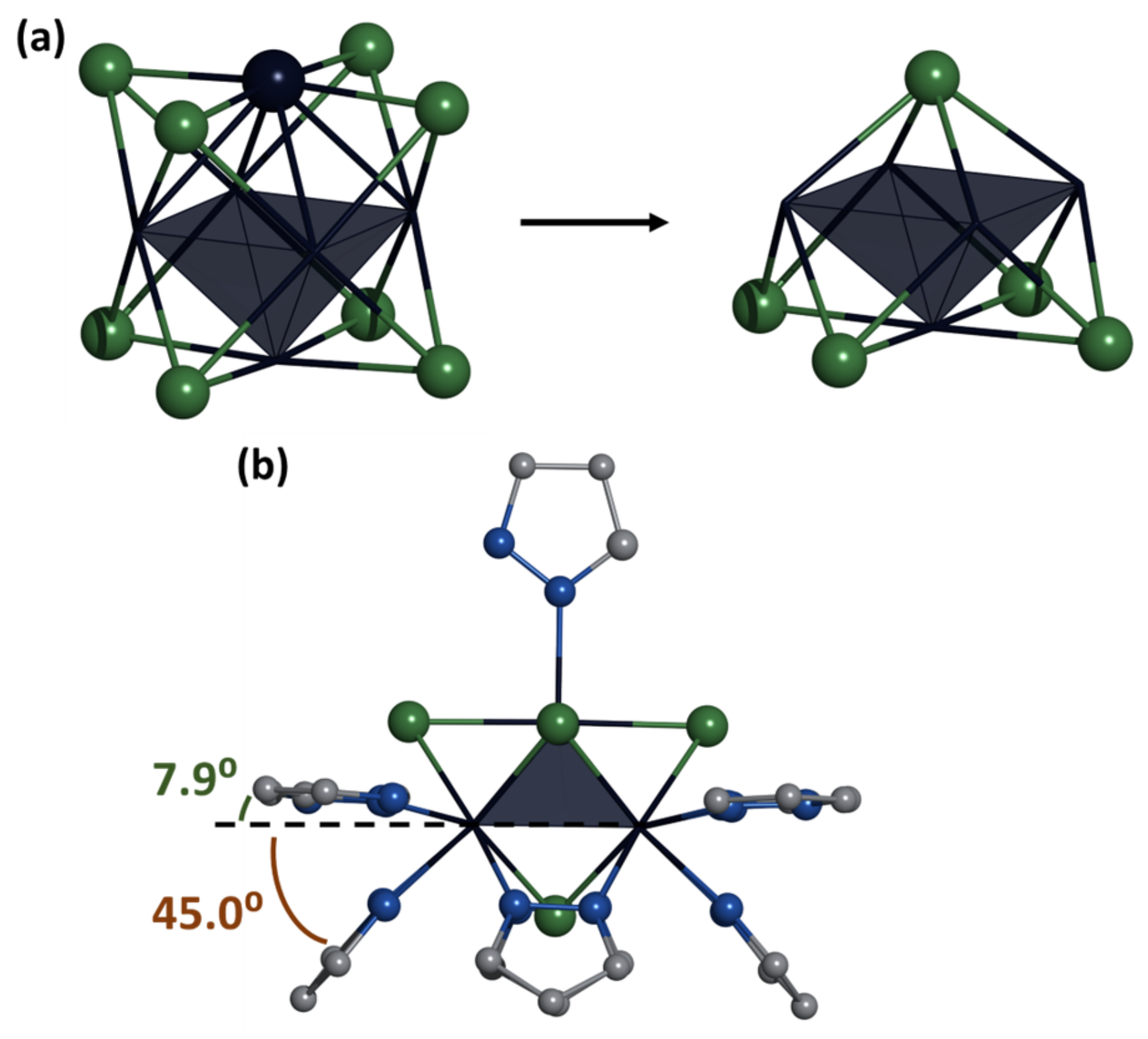 Ijms 24 03440 g003 550