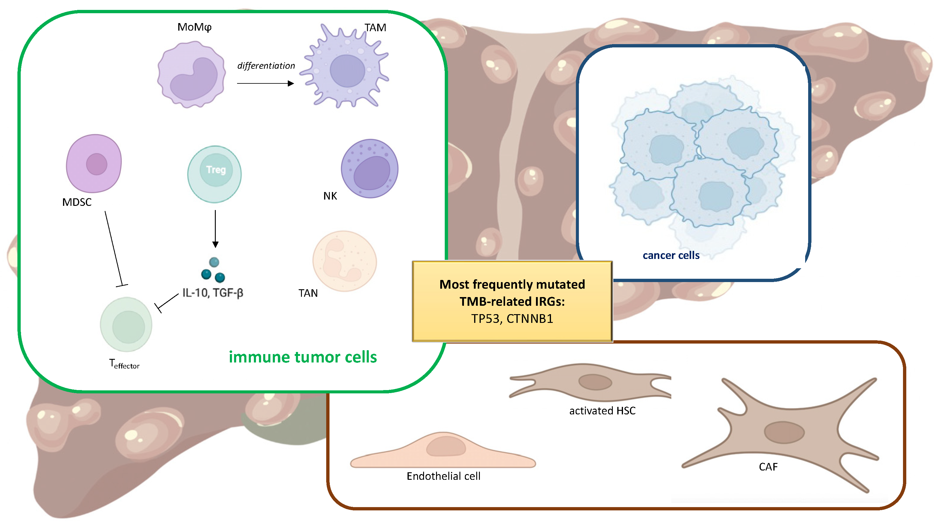 Ijms 24 03441 g002 Ijms 24 03441 g002