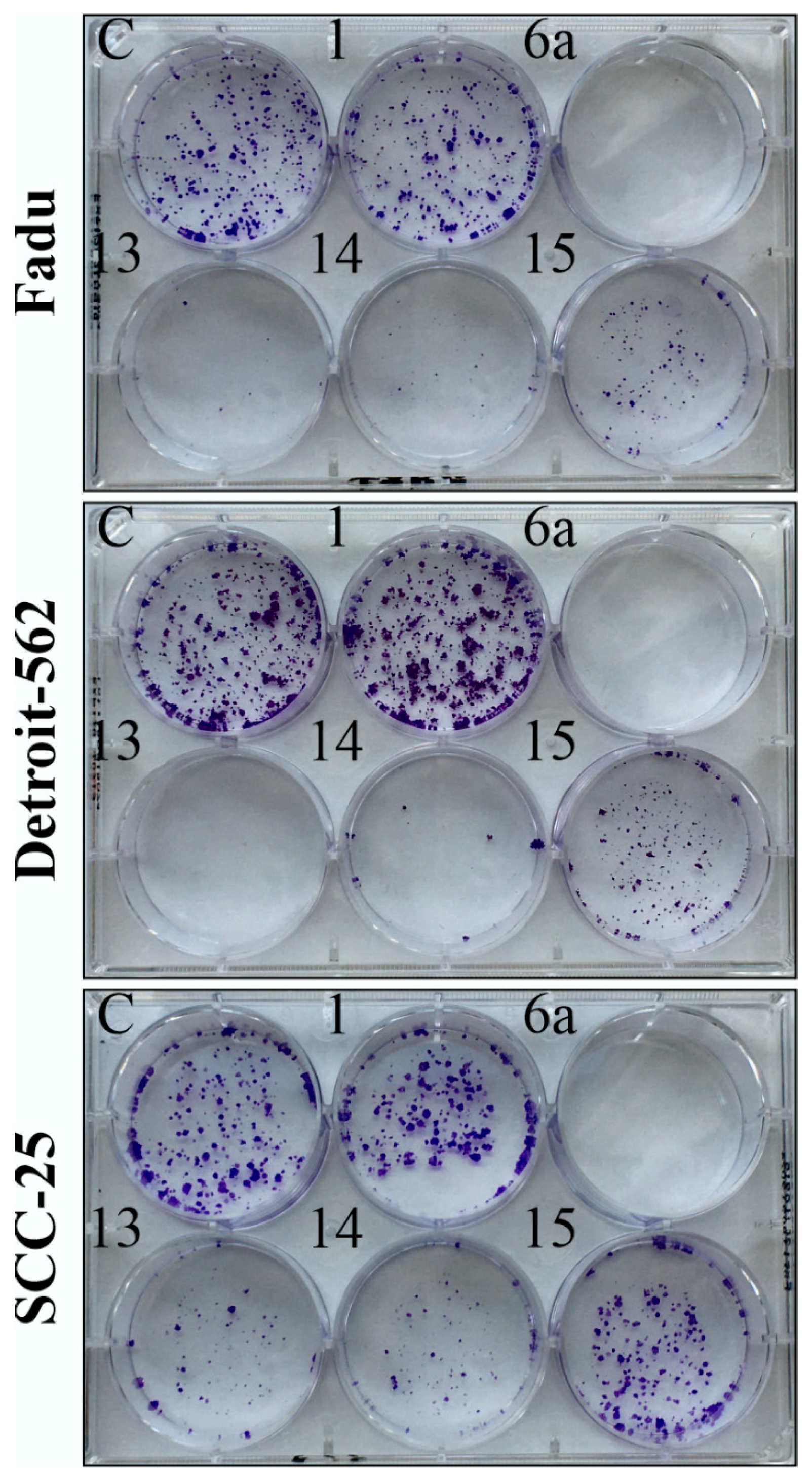 Ijms 24 03456 g005 Ijms 24 03456 g005