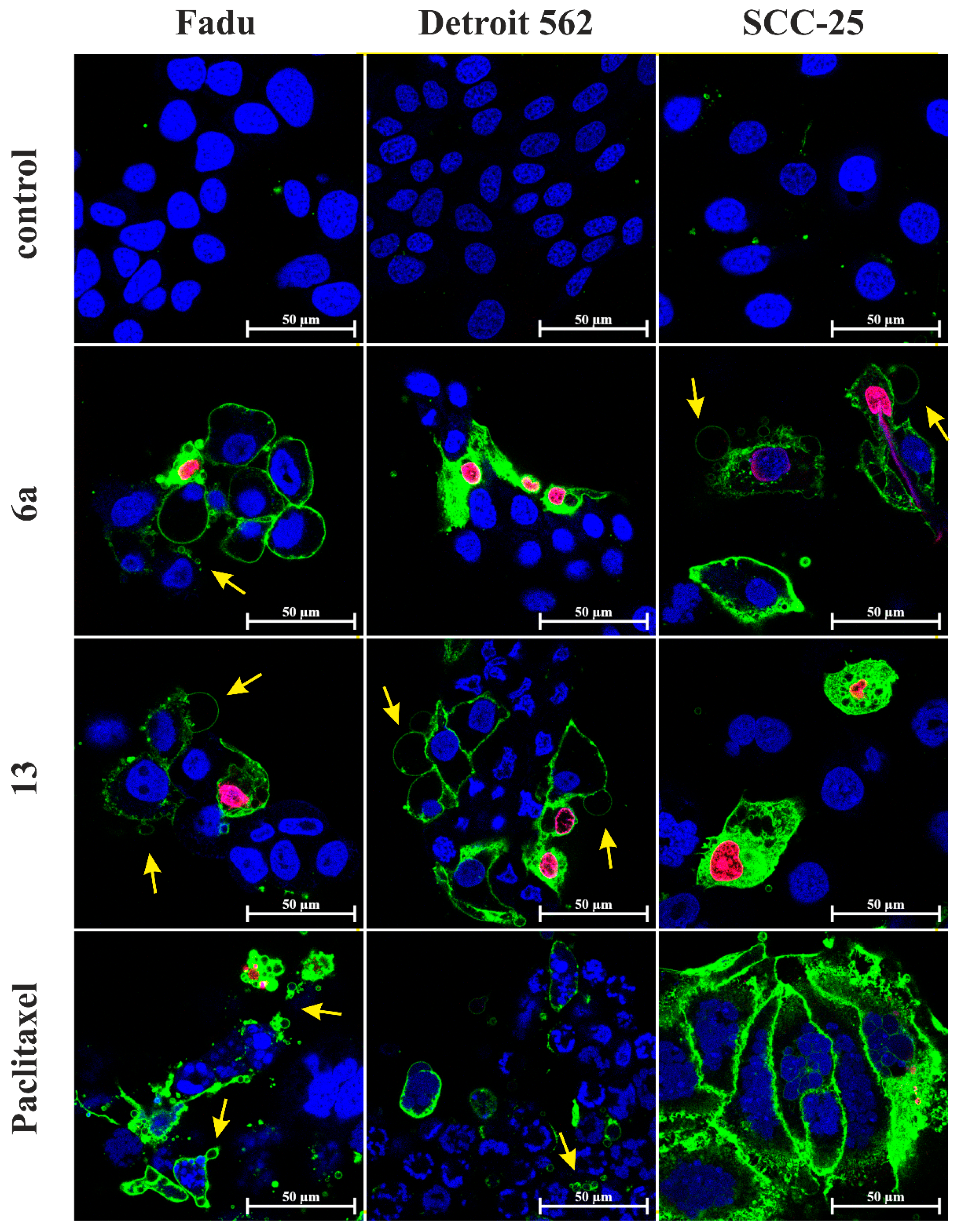 Ijms 24 03456 g006 Ijms 24 03456 g006