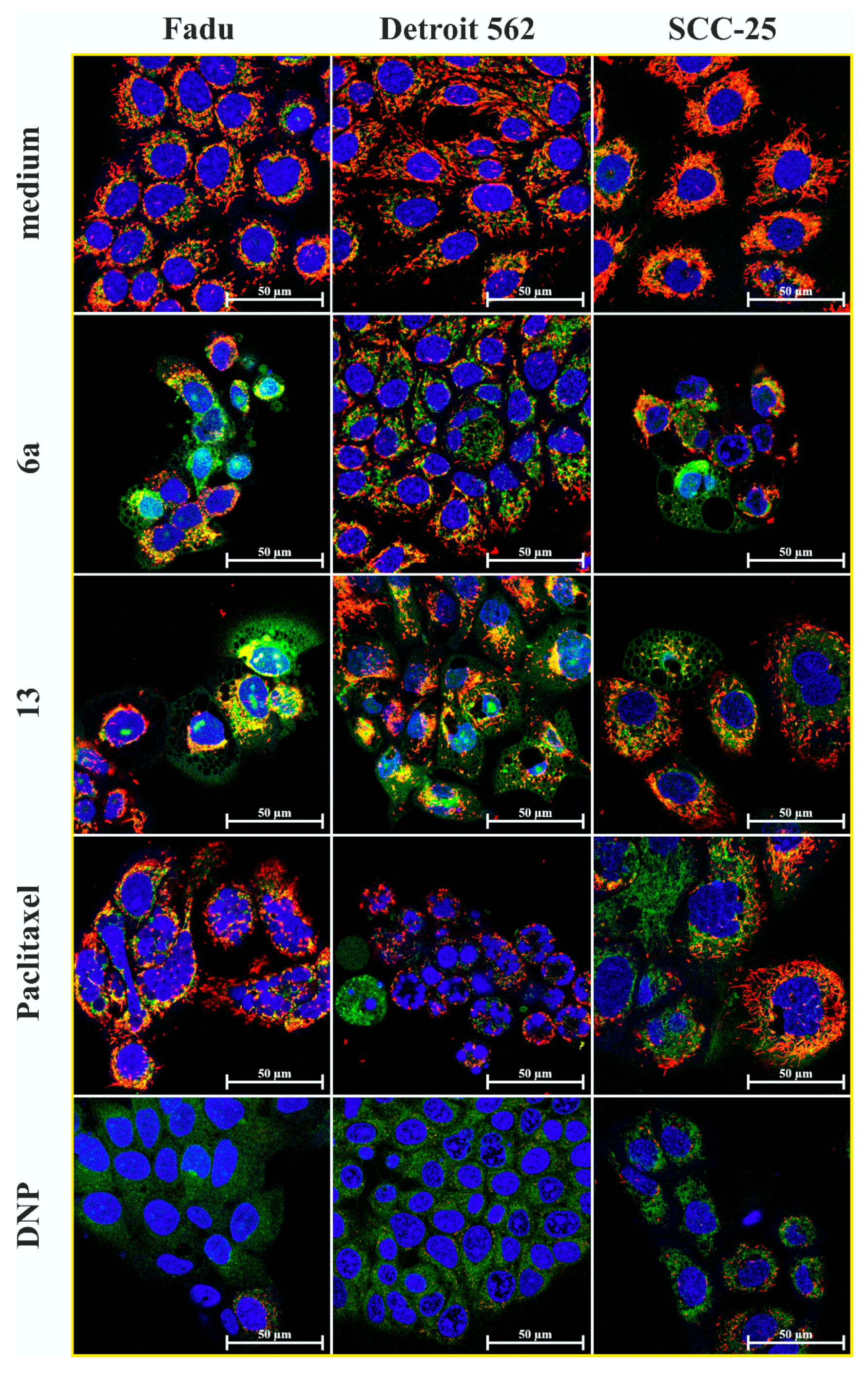 Ijms 24 03456 g007 Ijms 24 03456 g007