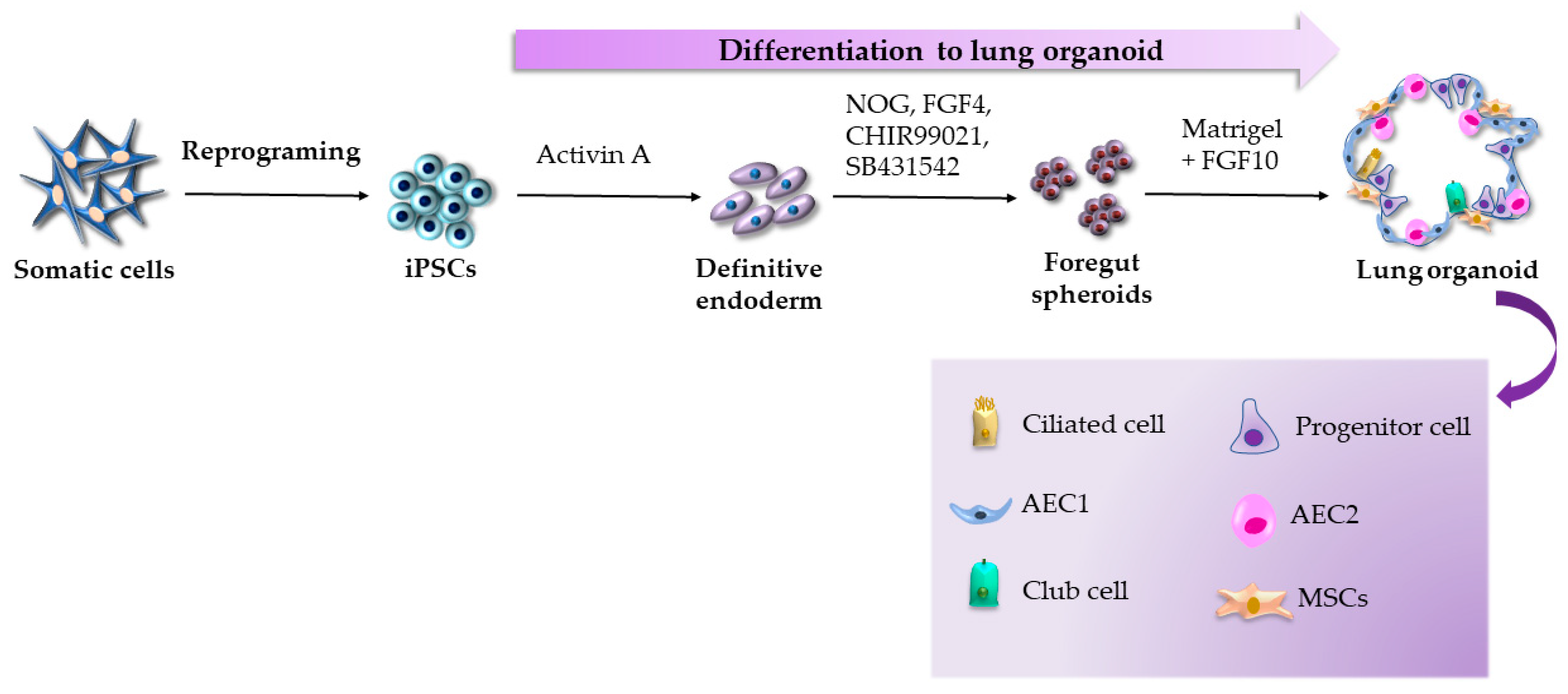 Ijms 24 03459 g001 Ijms 24 03459 g001