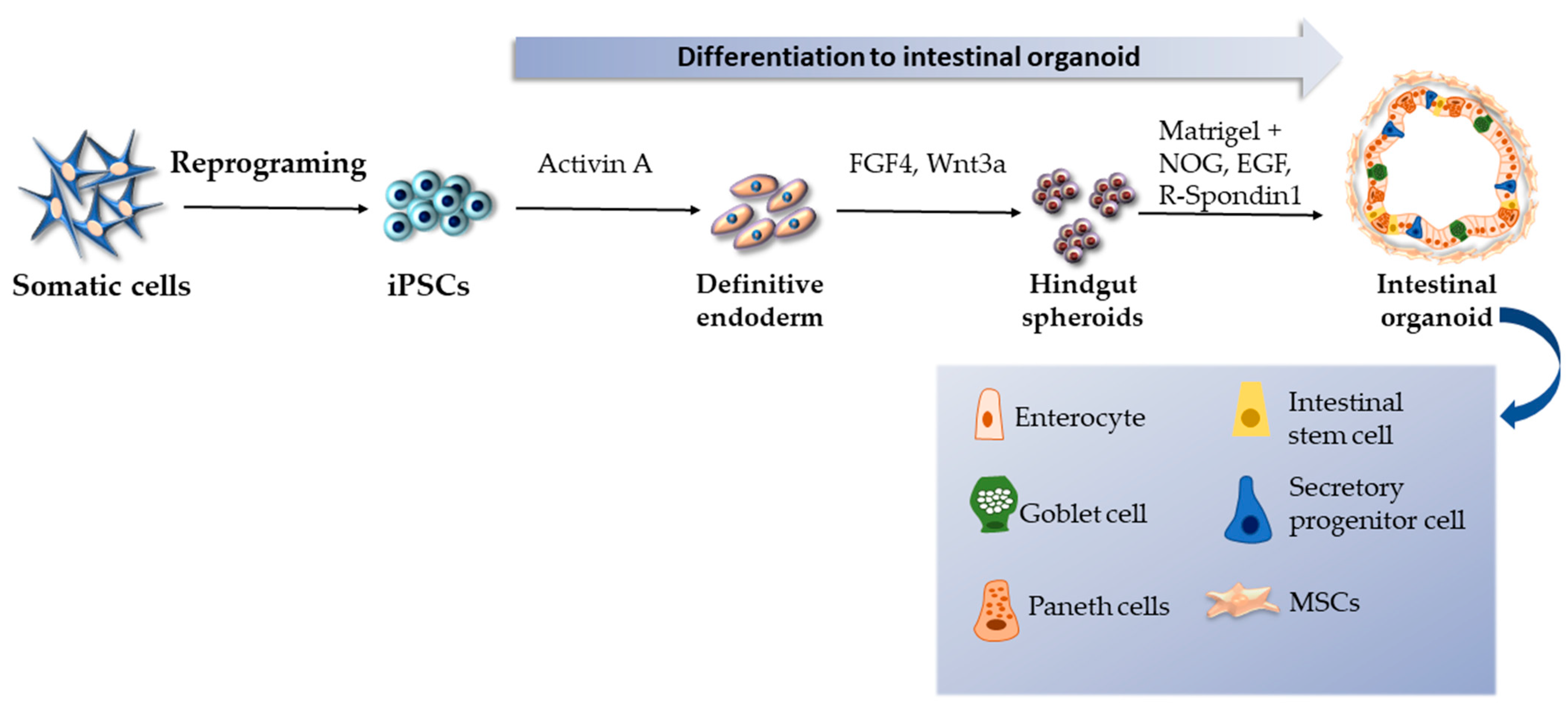 Ijms 24 03459 g003 Ijms 24 03459 g003