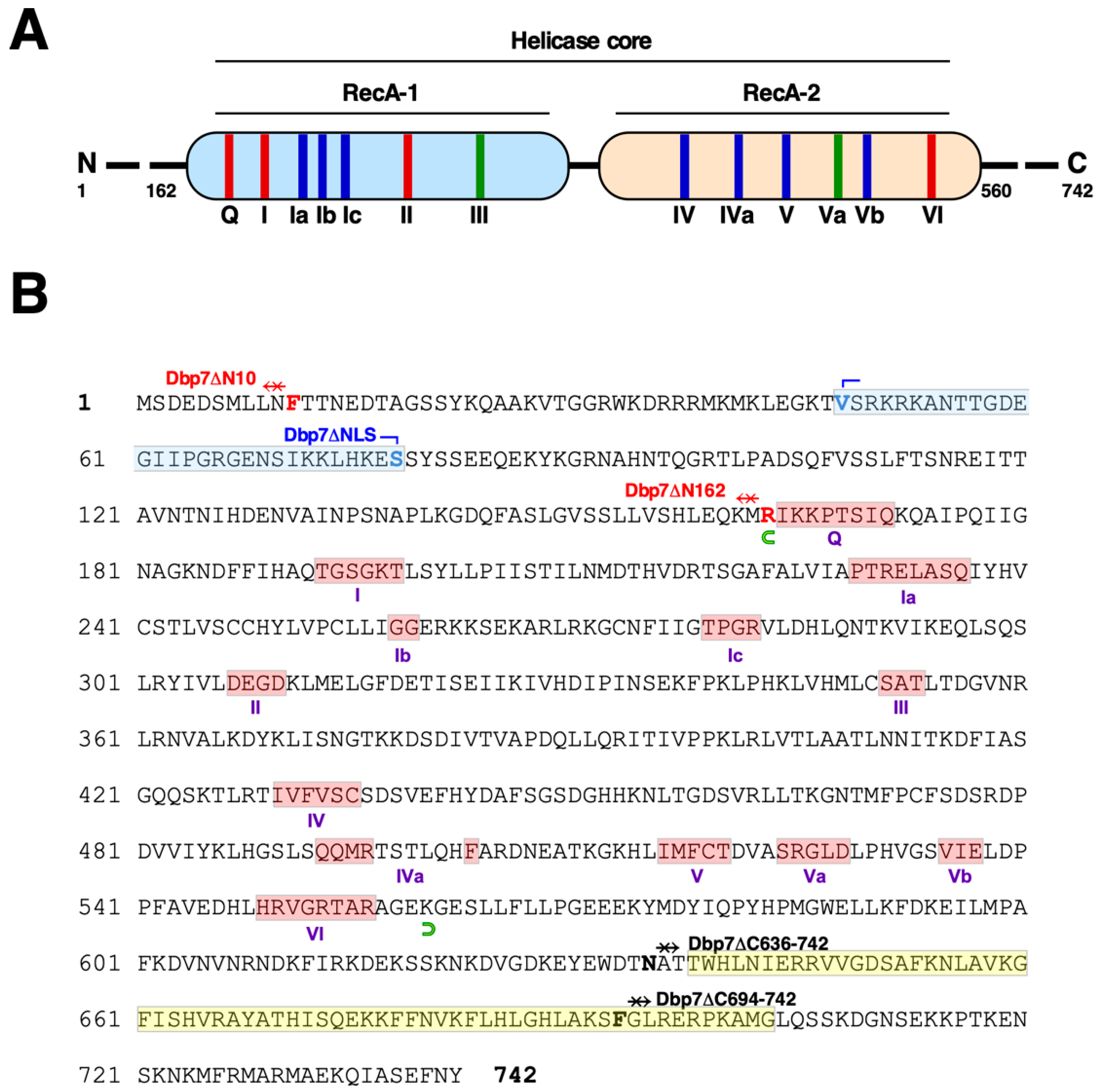 Ijms 24 03460 g001 Ijms 24 03460 g001