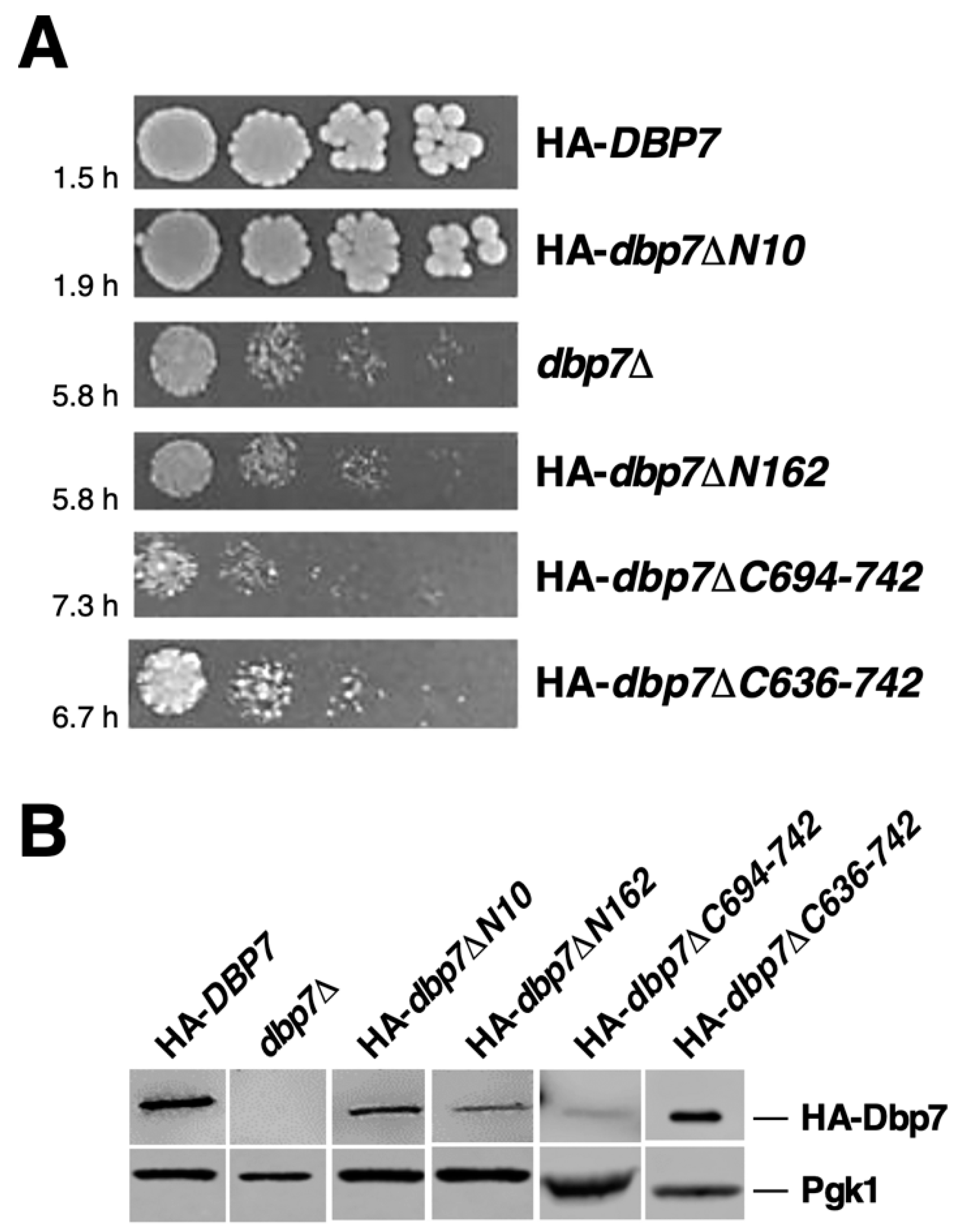 Ijms 24 03460 g002 Ijms 24 03460 g002