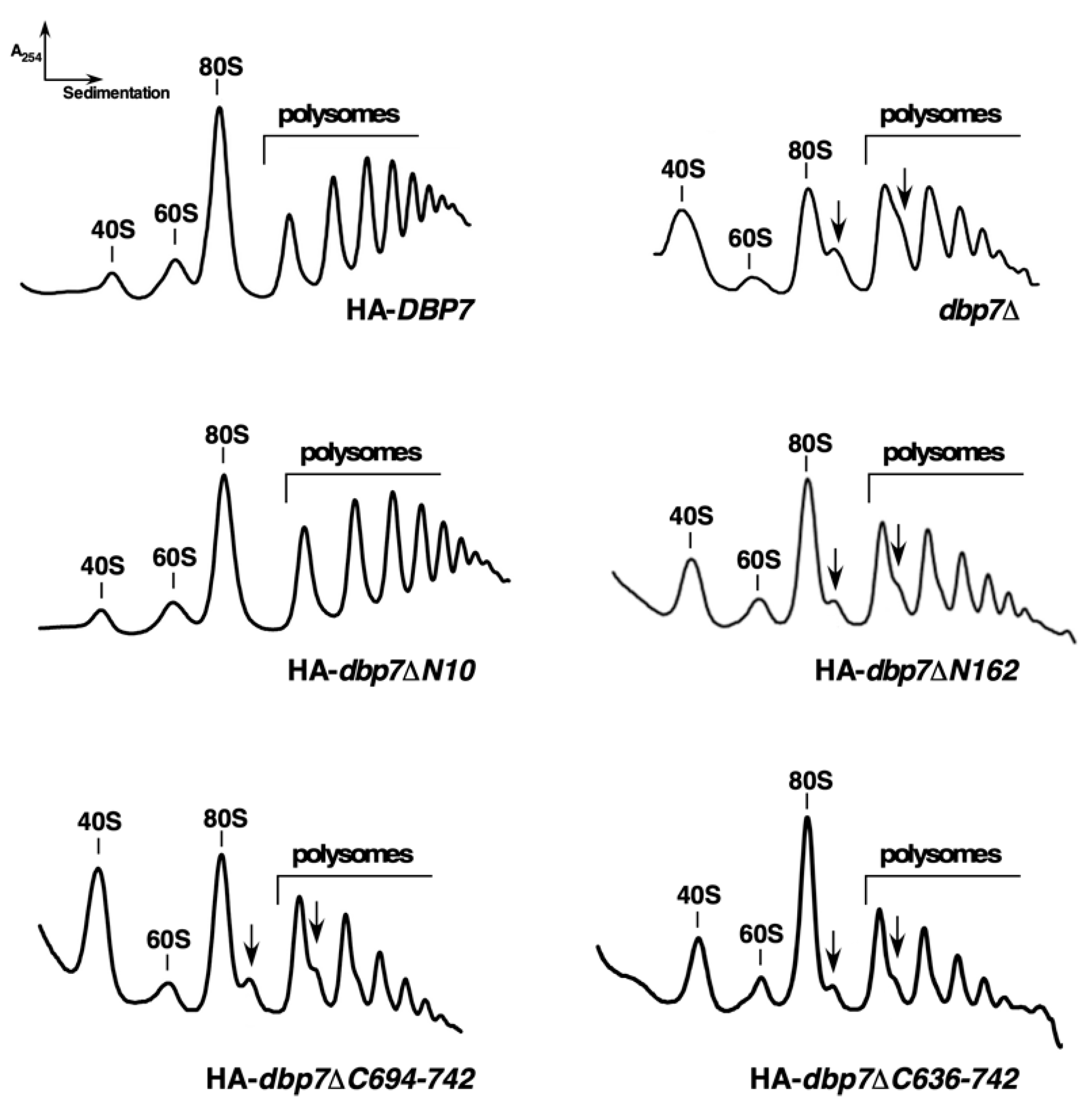 Ijms 24 03460 g003 Ijms 24 03460 g003