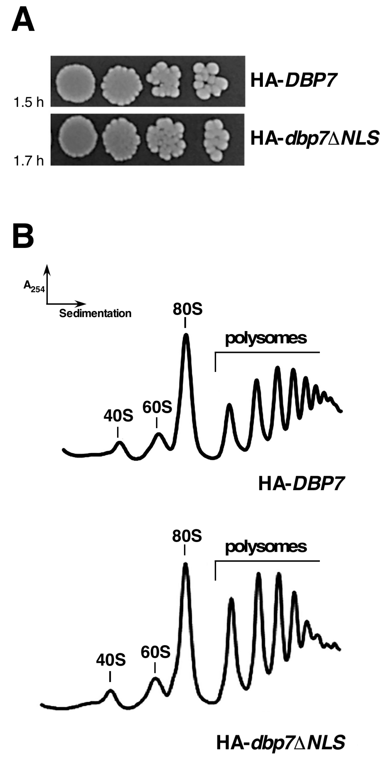 Ijms 24 03460 g005 Ijms 24 03460 g005