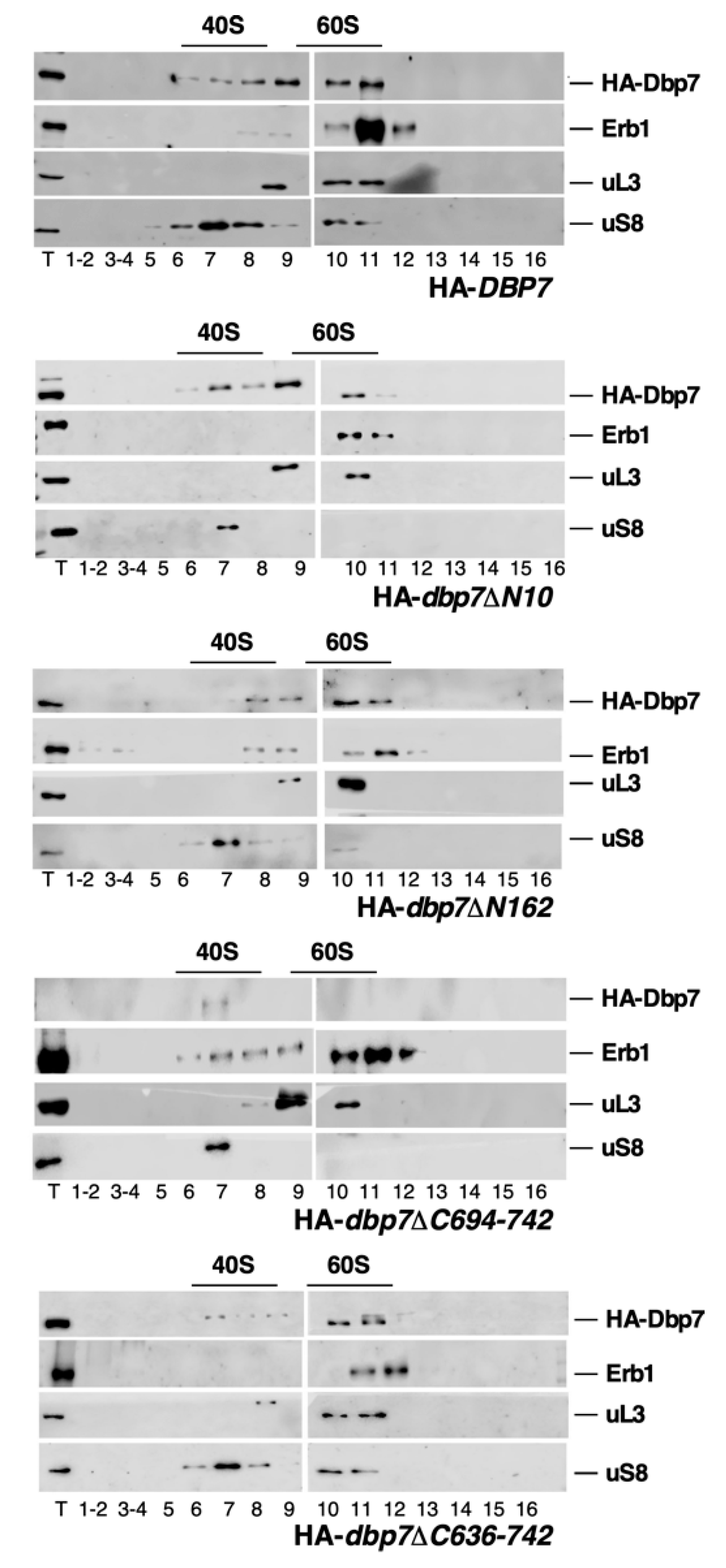 Ijms 24 03460 g008 Ijms 24 03460 g008