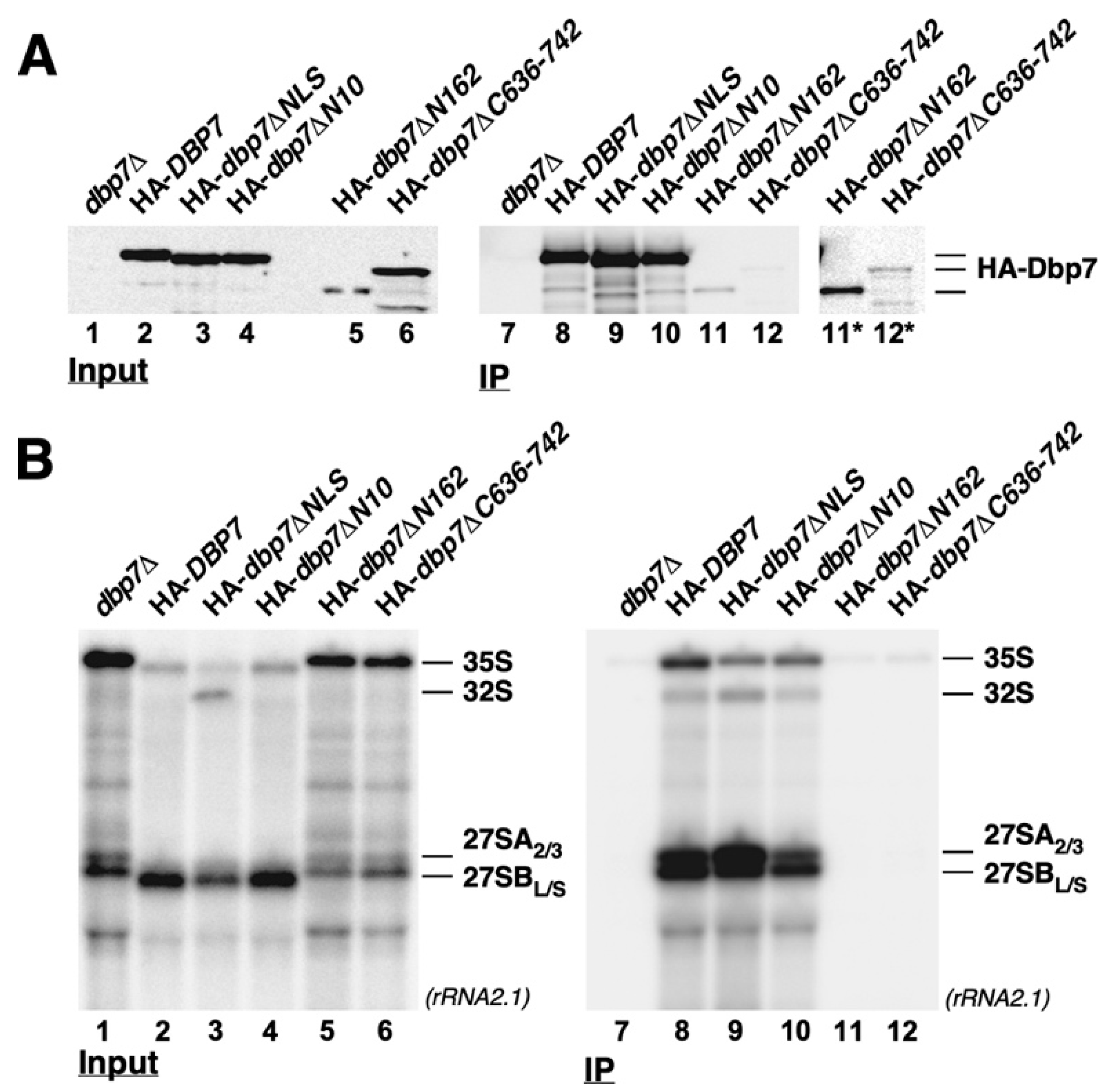 Ijms 24 03460 g009 Ijms 24 03460 g009