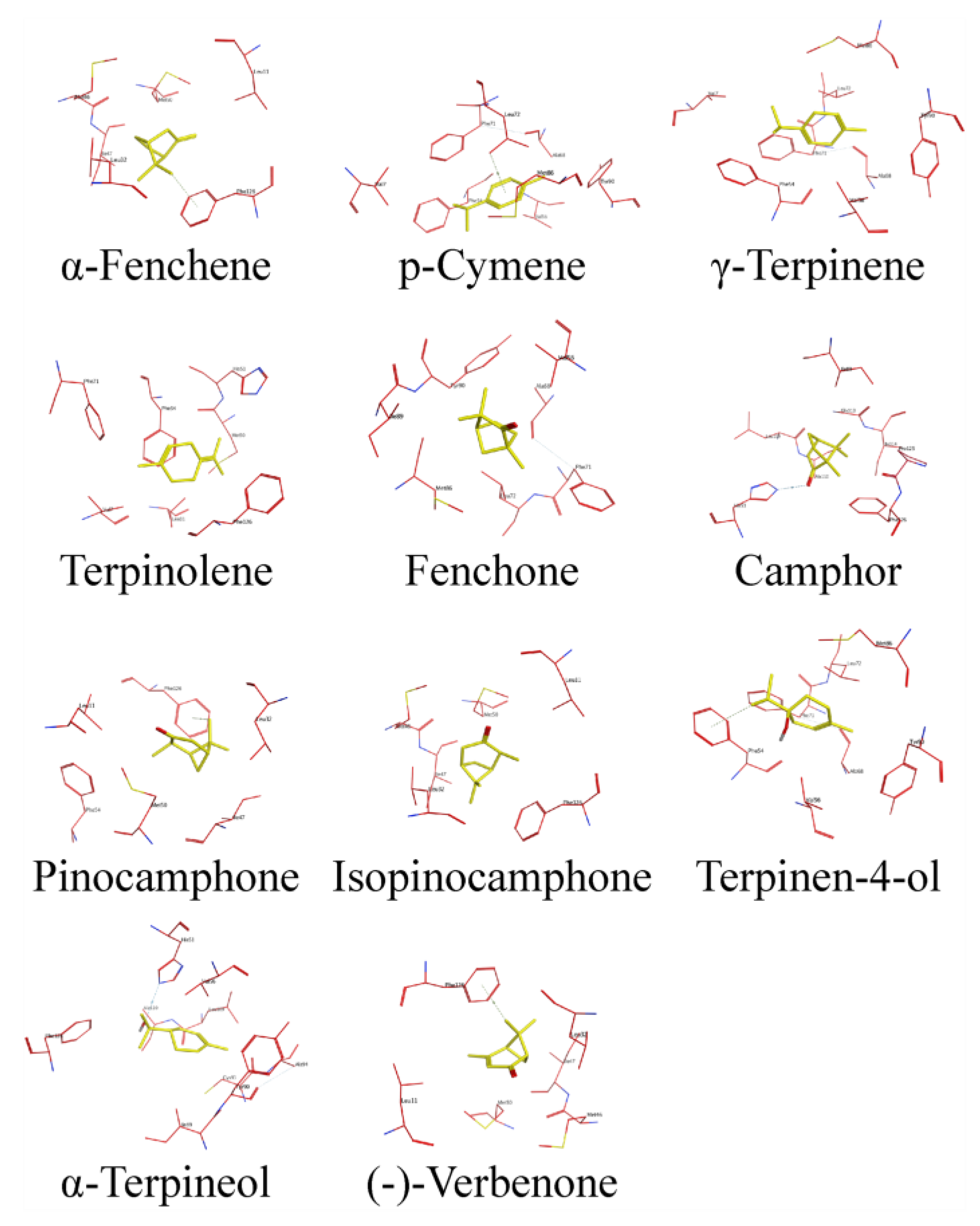 Ijms 24 03464 g008 Ijms 24 03464 g008
