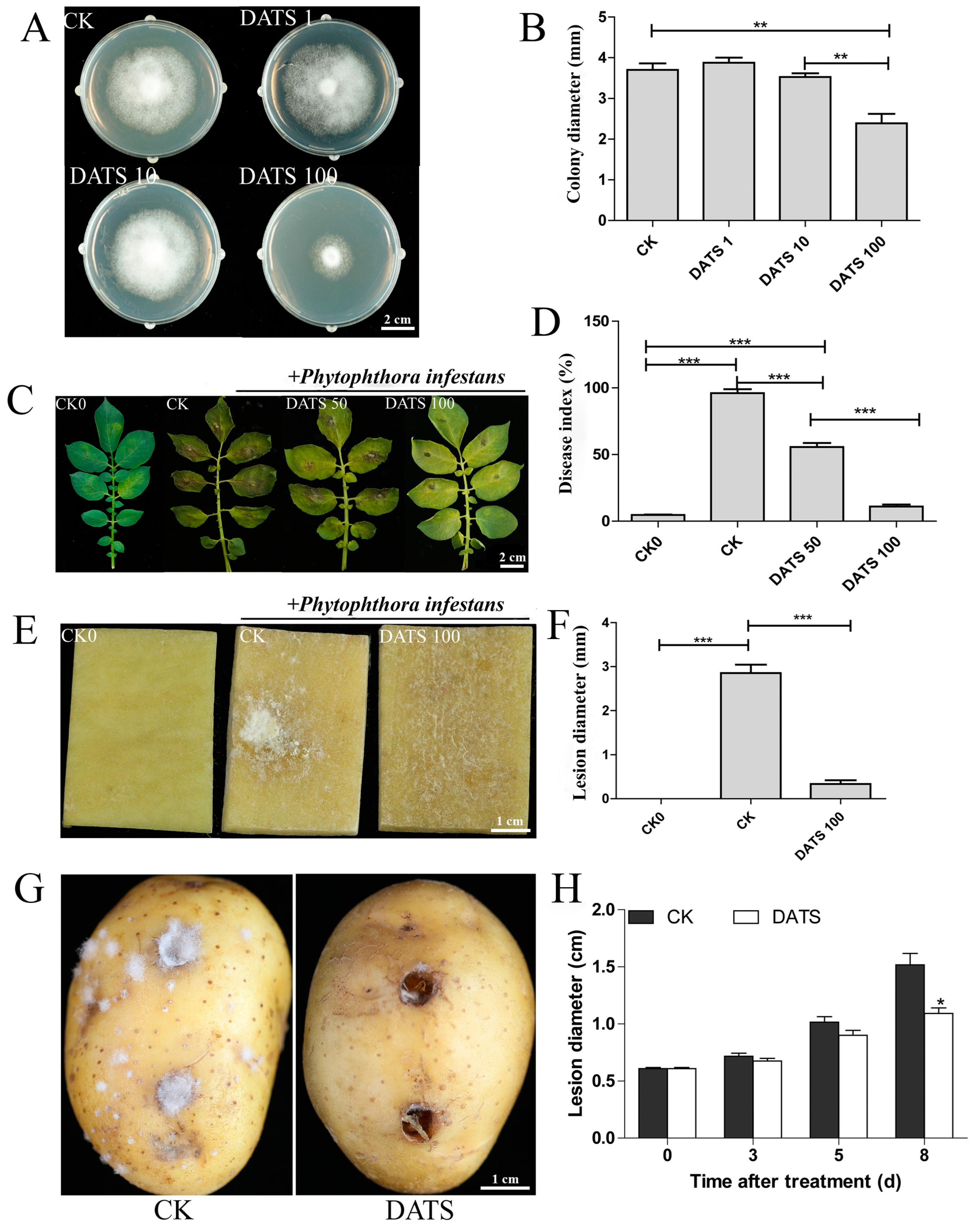 Integrative mRNA and microRNA Analysis Exploring the Integrative mRNA and microRNA Analysis Exploring the