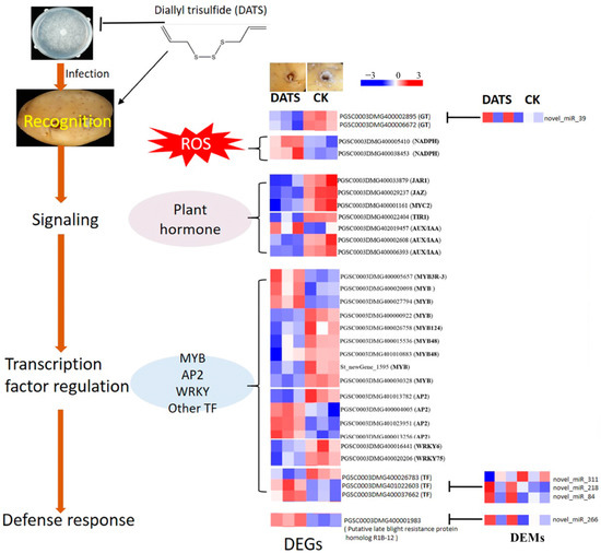 Integrative mRNA and microRNA Analysis Exploring the