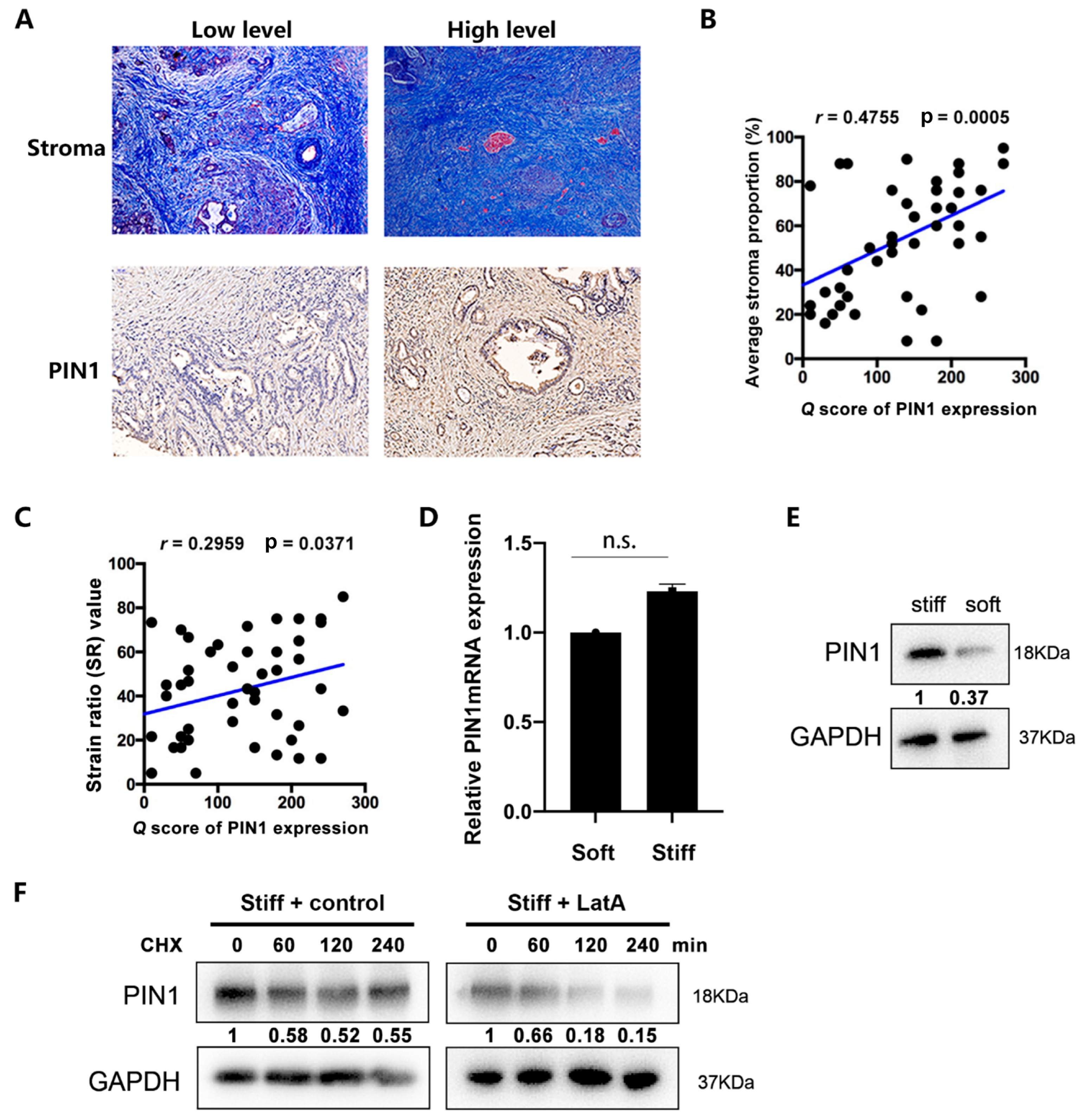 Ijms 24 03476 g001 Ijms 24 03476 g001