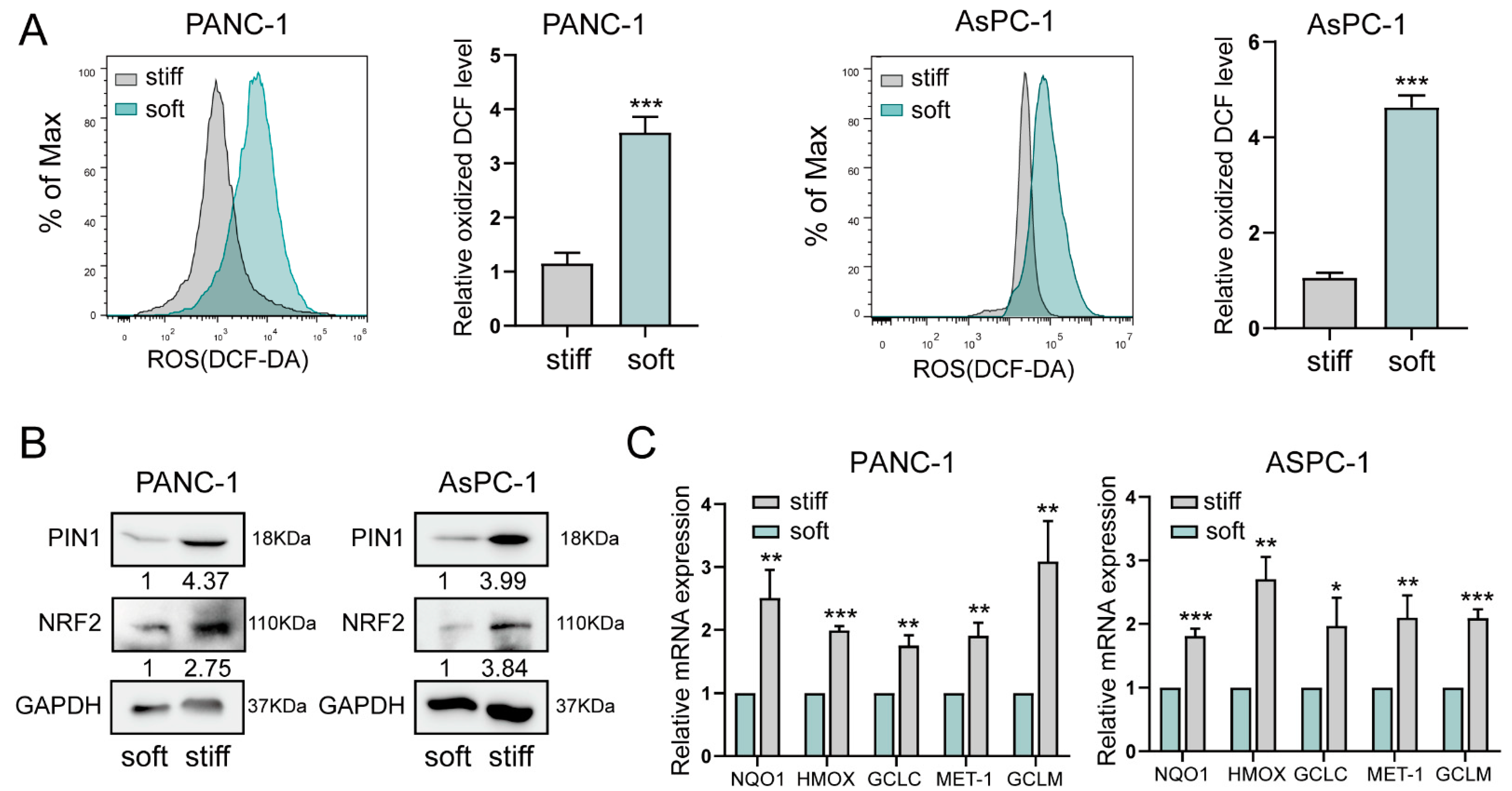 Ijms 24 03476 g002 Ijms 24 03476 g002