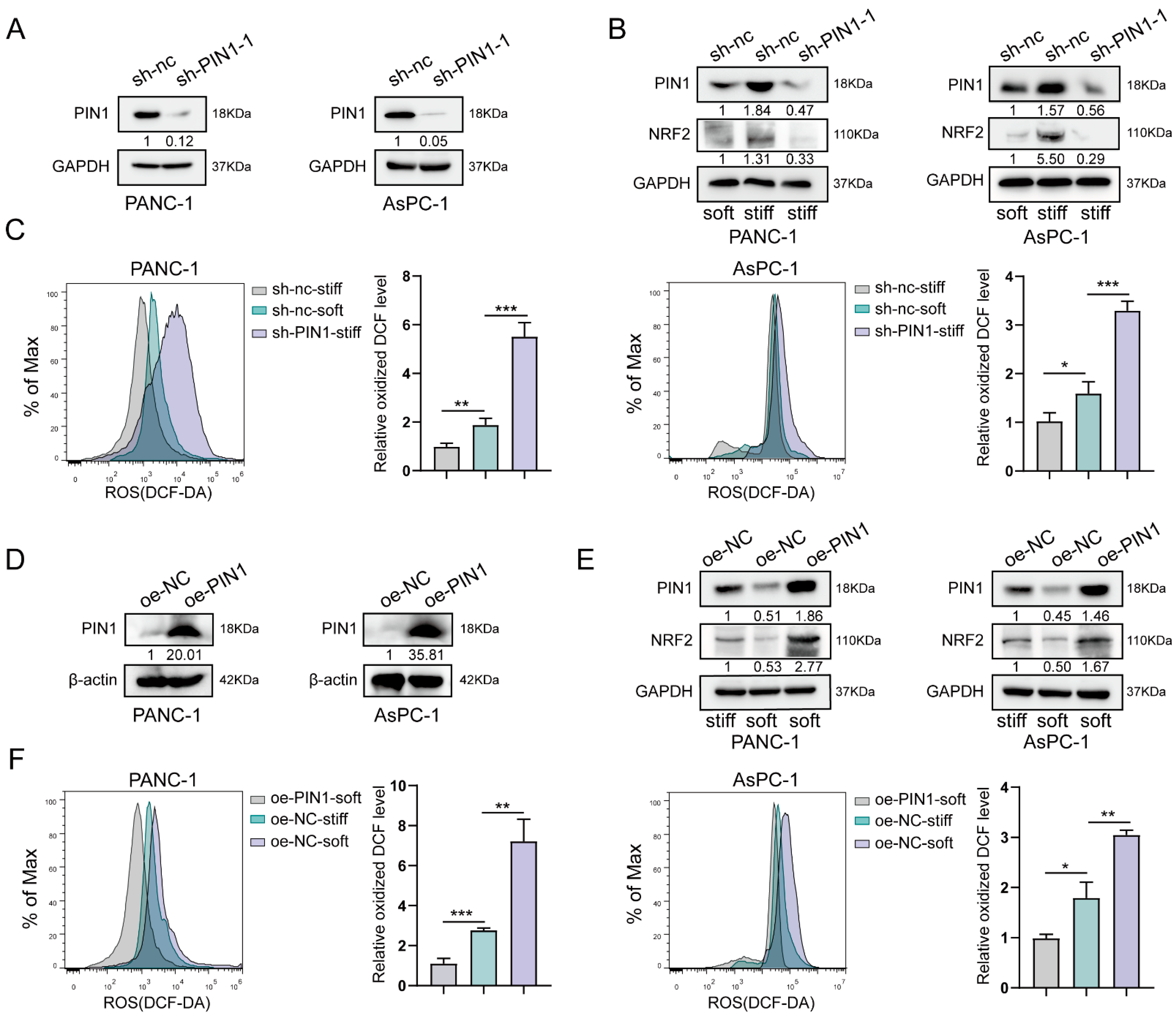 Ijms 24 03476 g003 Ijms 24 03476 g003