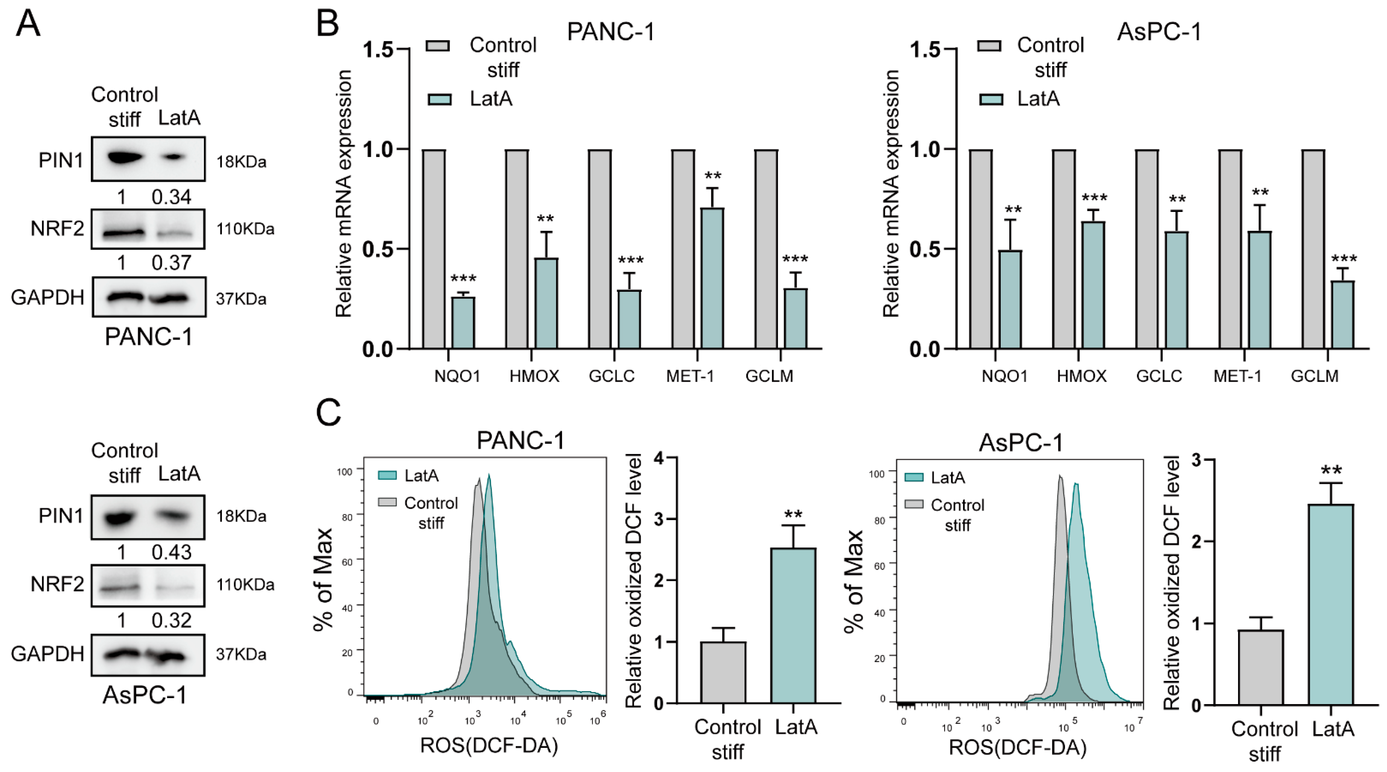 Ijms 24 03476 g004 Ijms 24 03476 g004