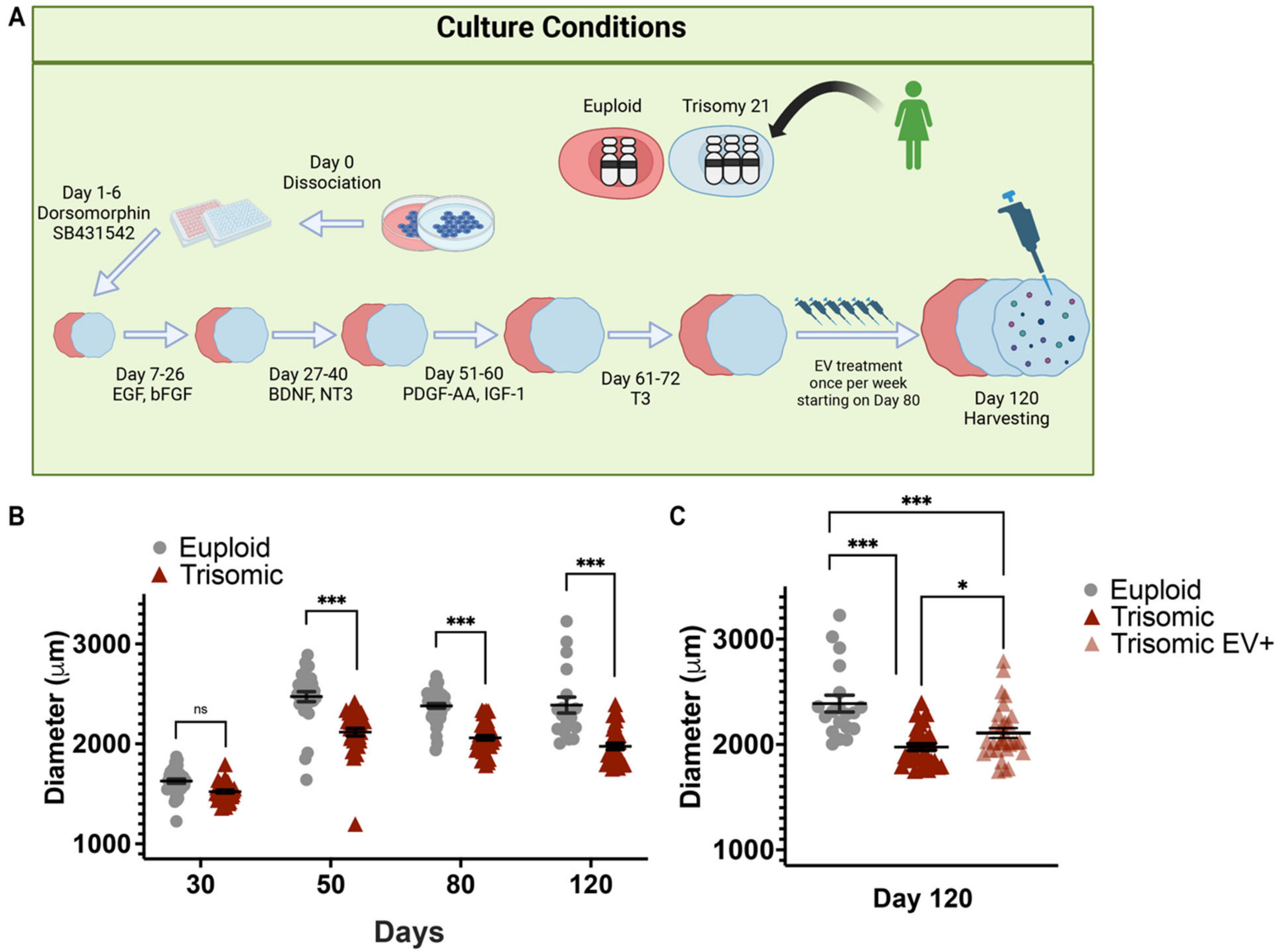 Ijms 24 03477 g001 Ijms 24 03477 g001