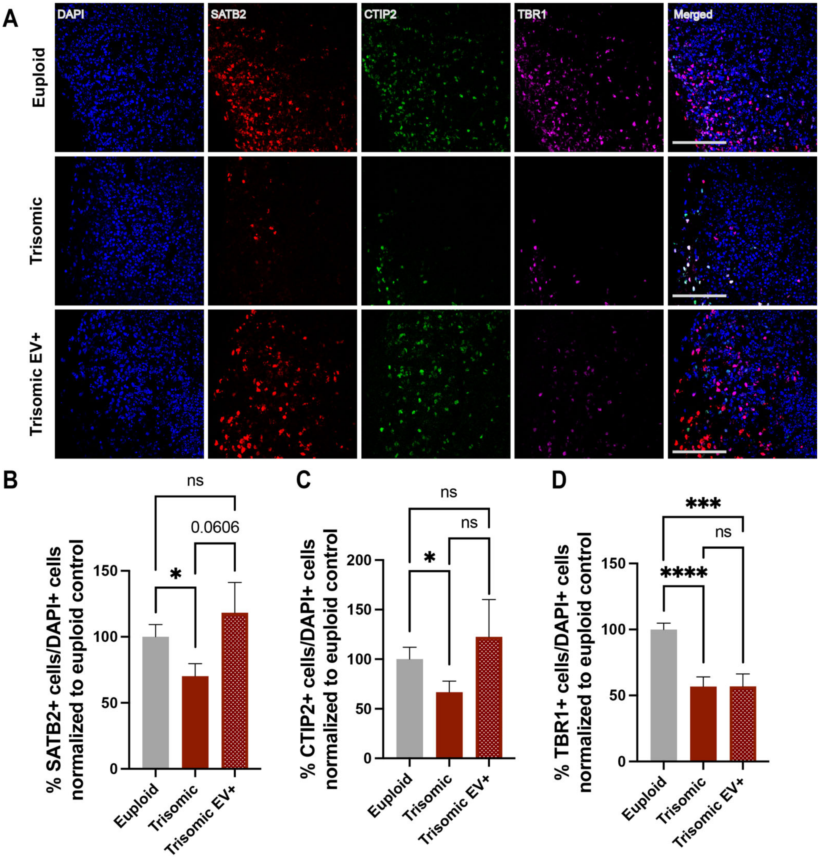 Ijms 24 03477 g003 Ijms 24 03477 g003