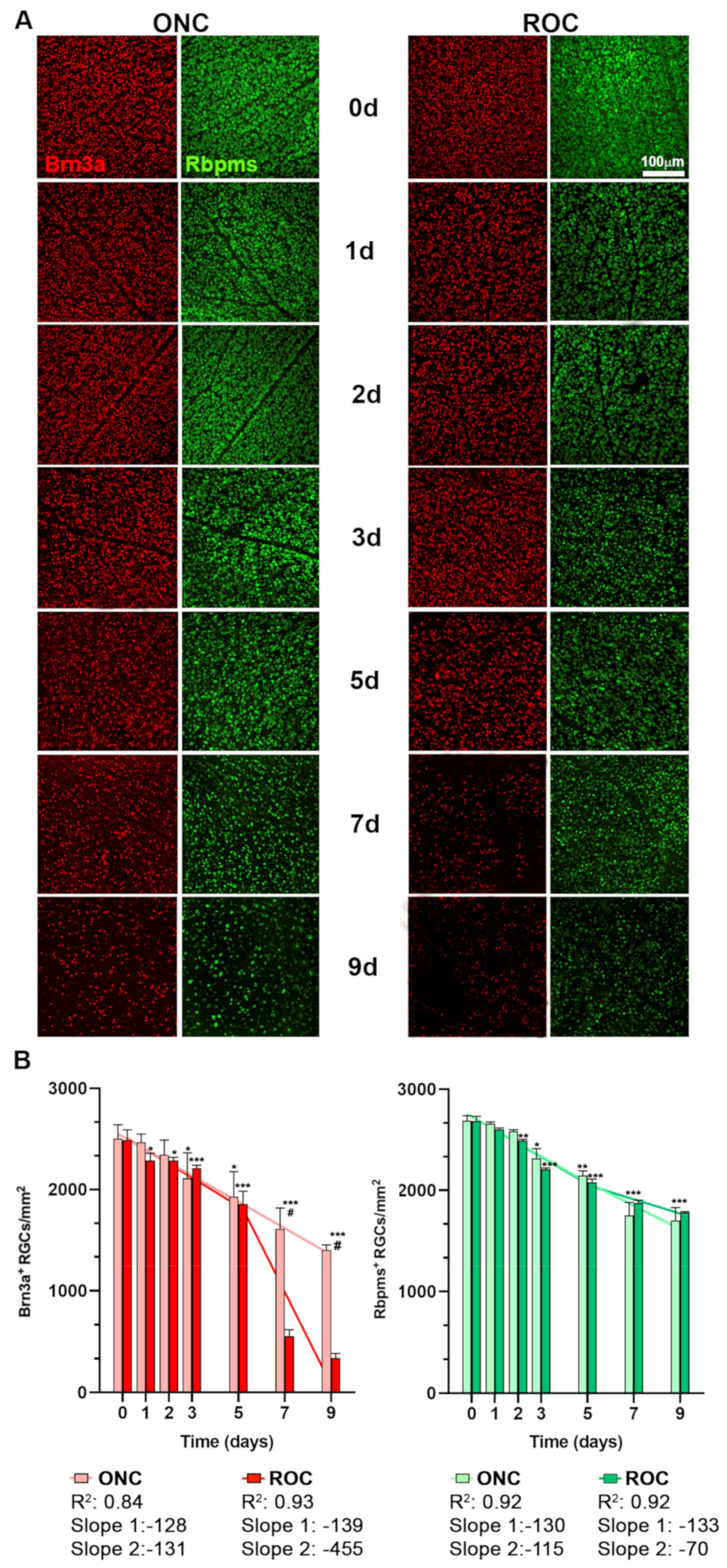 Ijms 24 03481 g002 Ijms 24 03481 g002