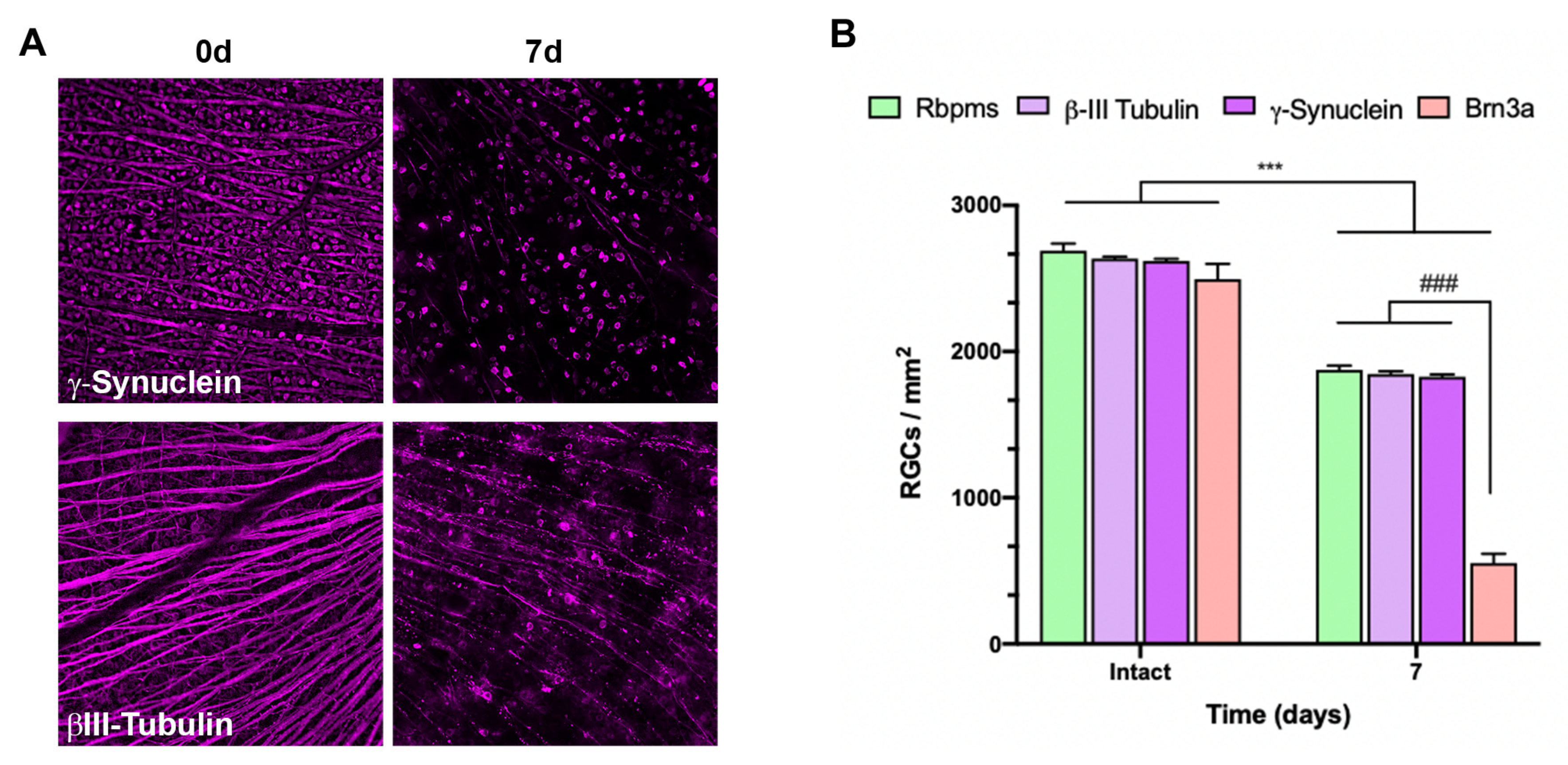 Ijms 24 03481 g003 Ijms 24 03481 g003