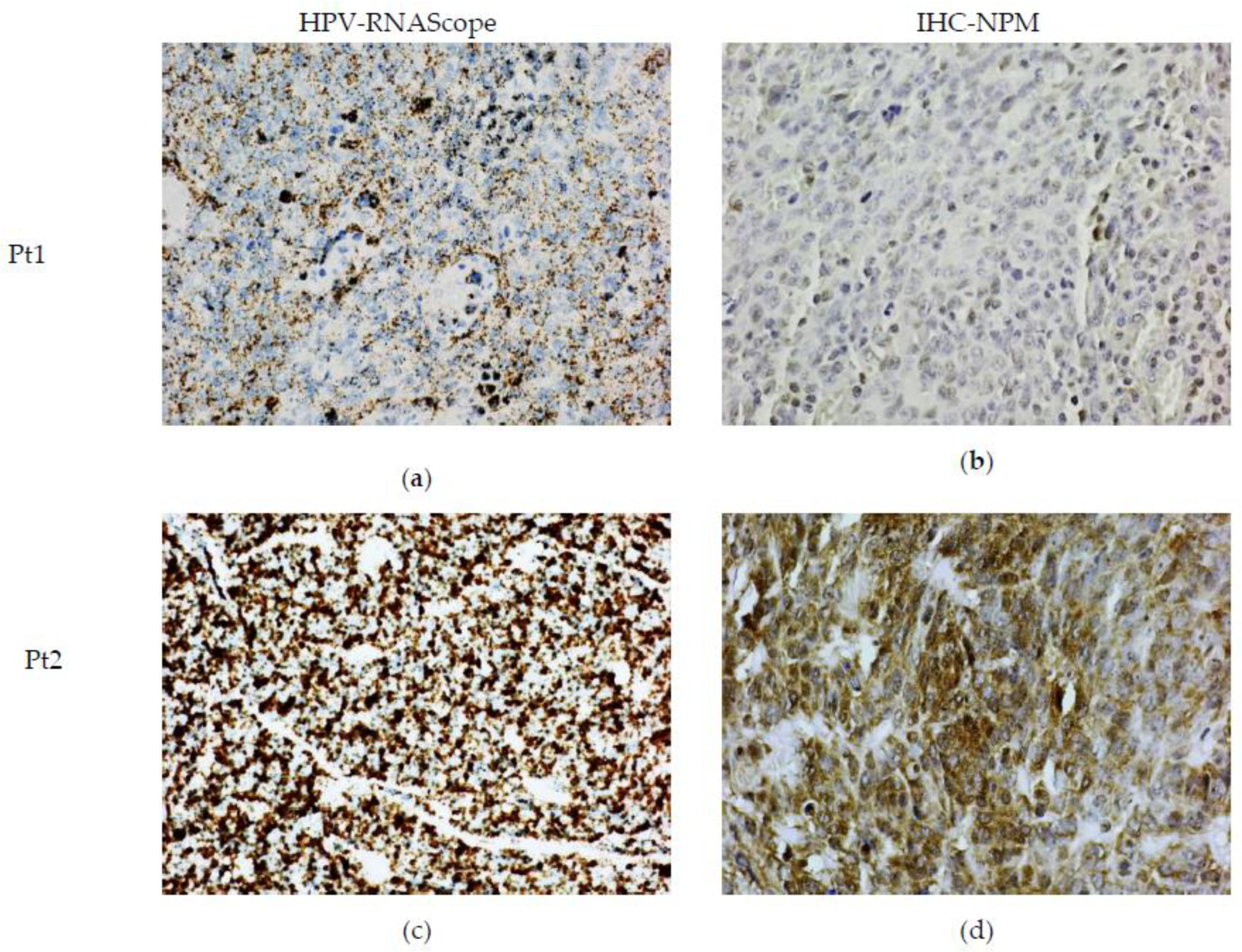 Ijms 24 03482 g002 Ijms 24 03482 g002