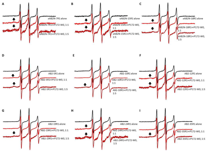 Ijms 24 03484 g003 Ijms 24 03484 g003