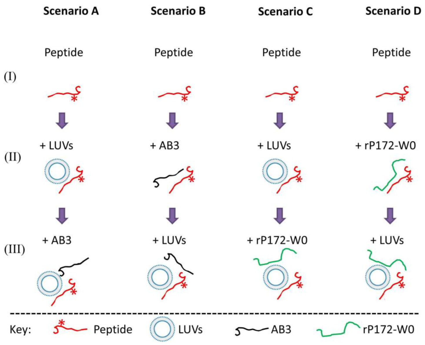 Ijms 24 03484 g005 Ijms 24 03484 g005