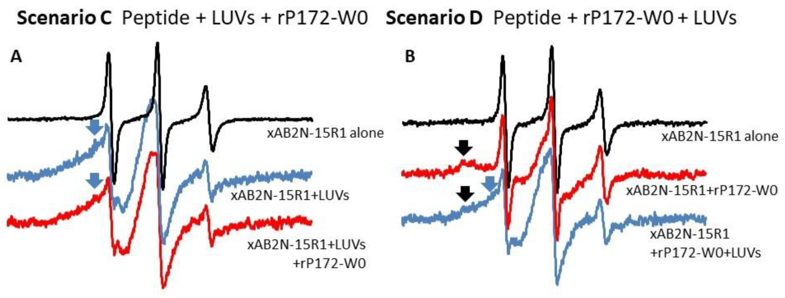 Ijms 24 03484 g009 Ijms 24 03484 g009