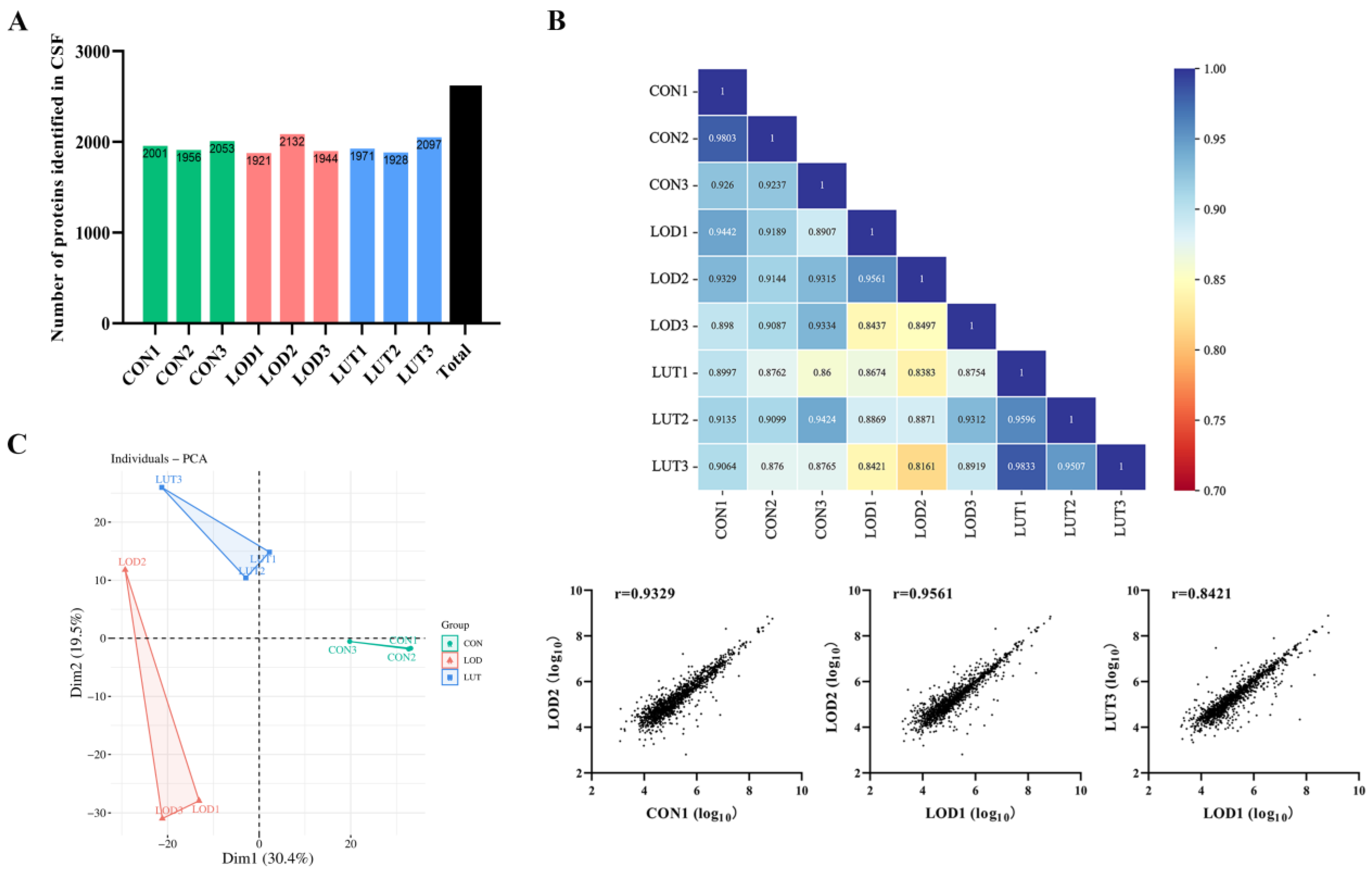 IJMS | Free Full-Text | Exploration of the Core Pathways and Potential ...