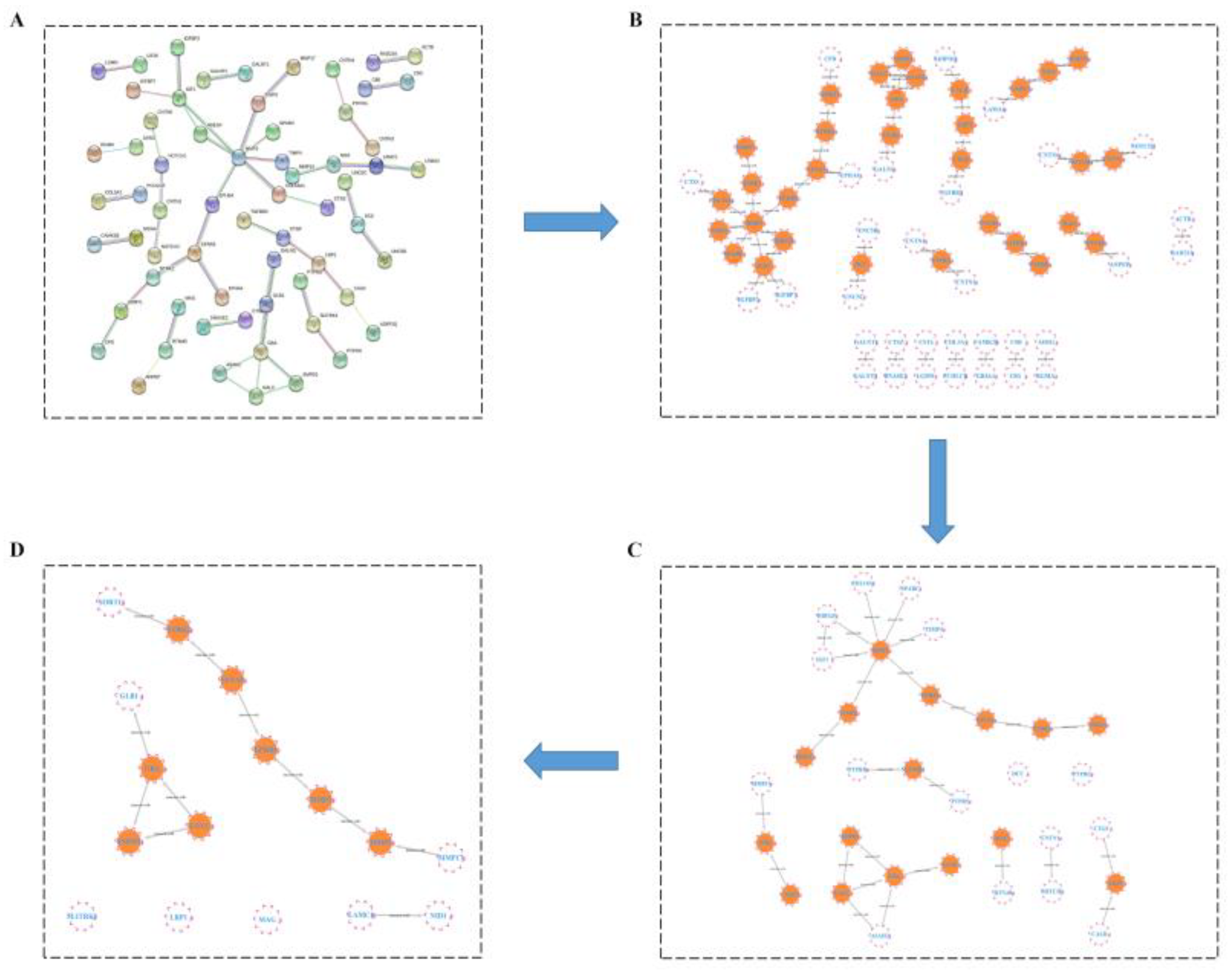 Ijms 24 03485 g007 Ijms 24 03485 g007