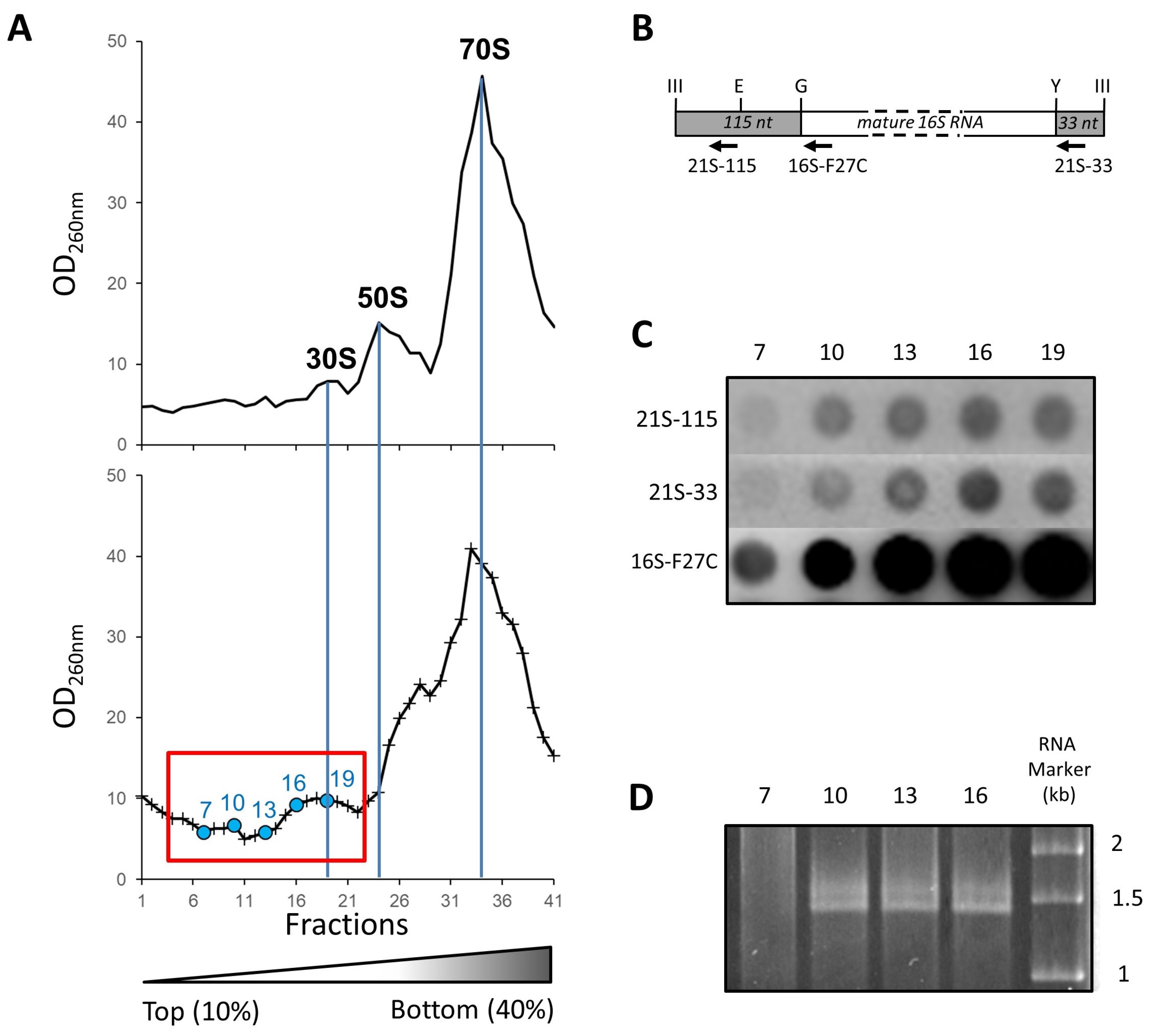 Ijms 24 03491 g002 Ijms 24 03491 g002