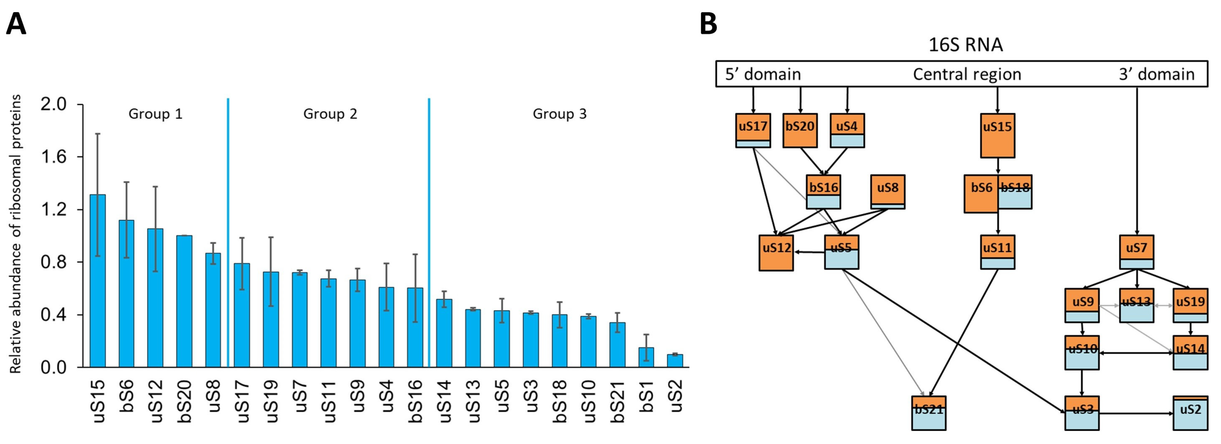 Ijms 24 03491 g004 Ijms 24 03491 g004