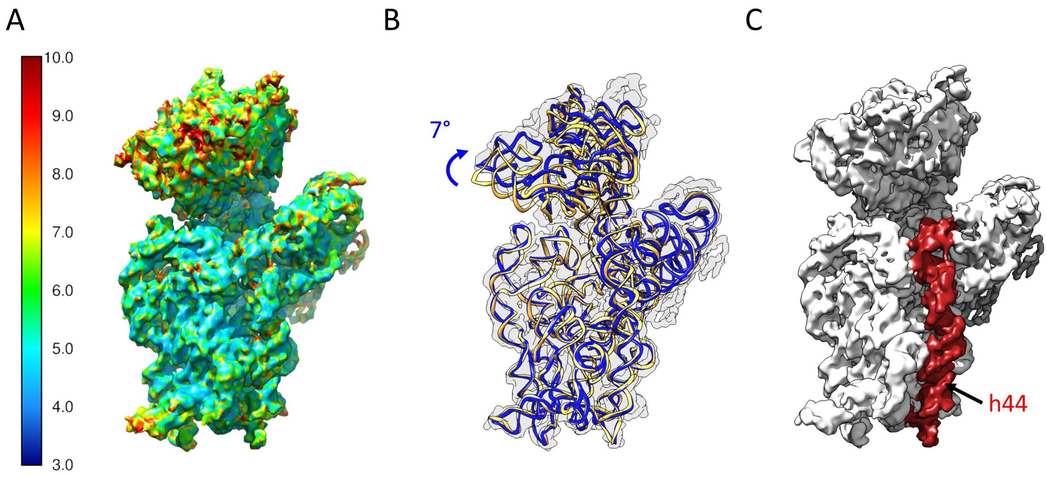 Ijms 24 03491 g005 Ijms 24 03491 g005