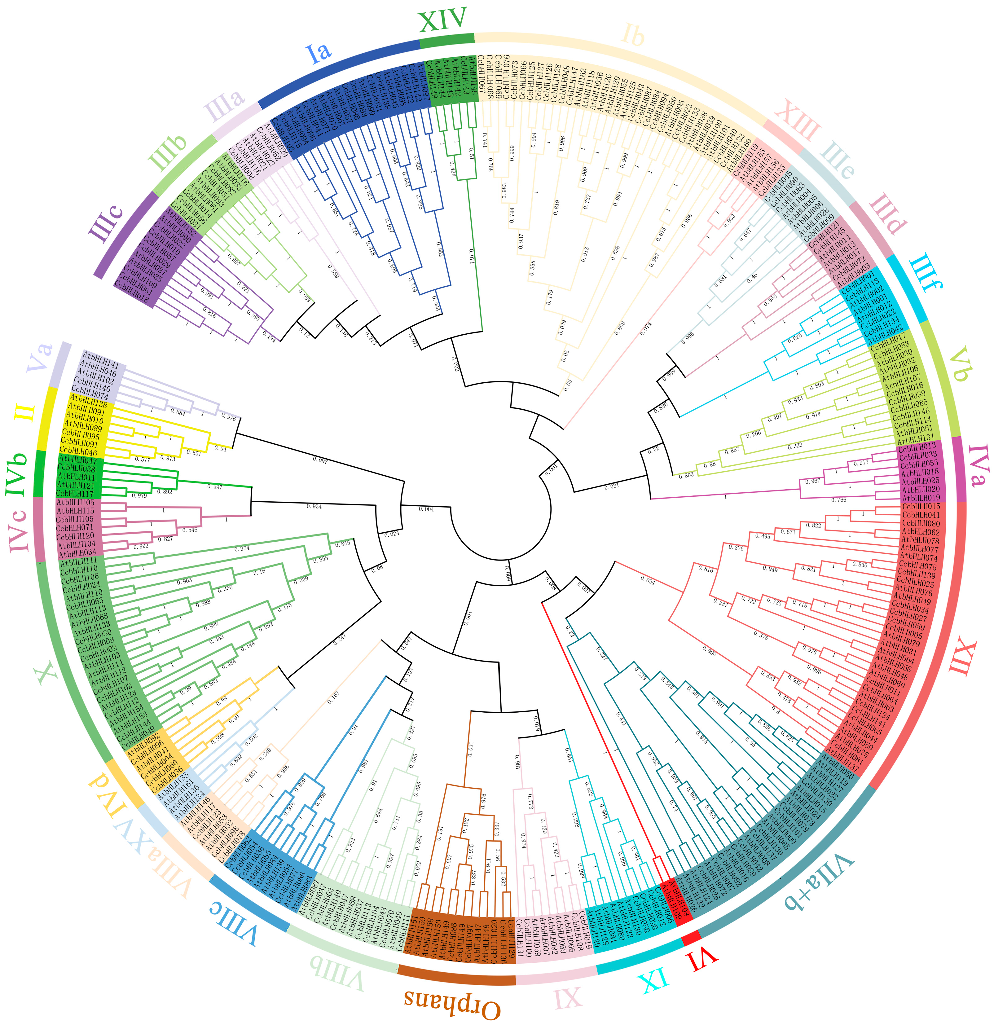 Ijms 24 03498 g001 Ijms 24 03498 g001