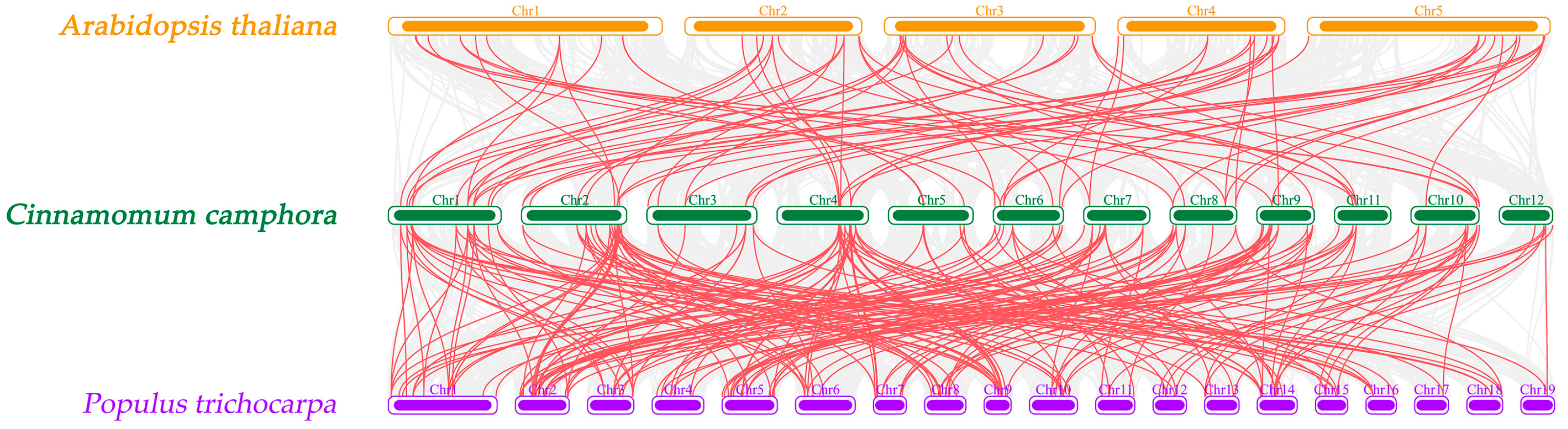 Ijms 24 03498 g003 Ijms 24 03498 g003