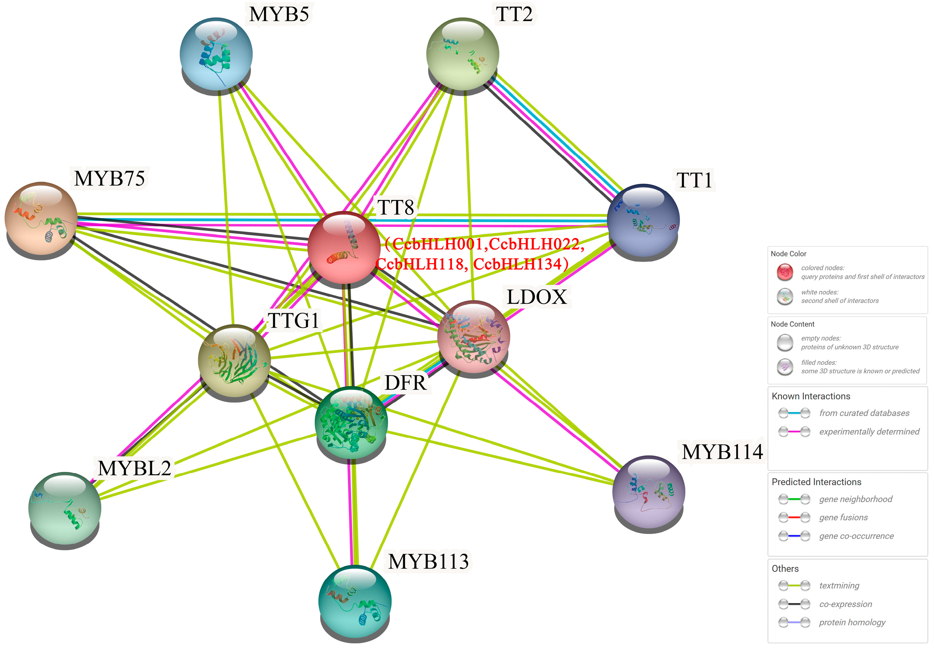 Ijms 24 03498 g004 Ijms 24 03498 g004