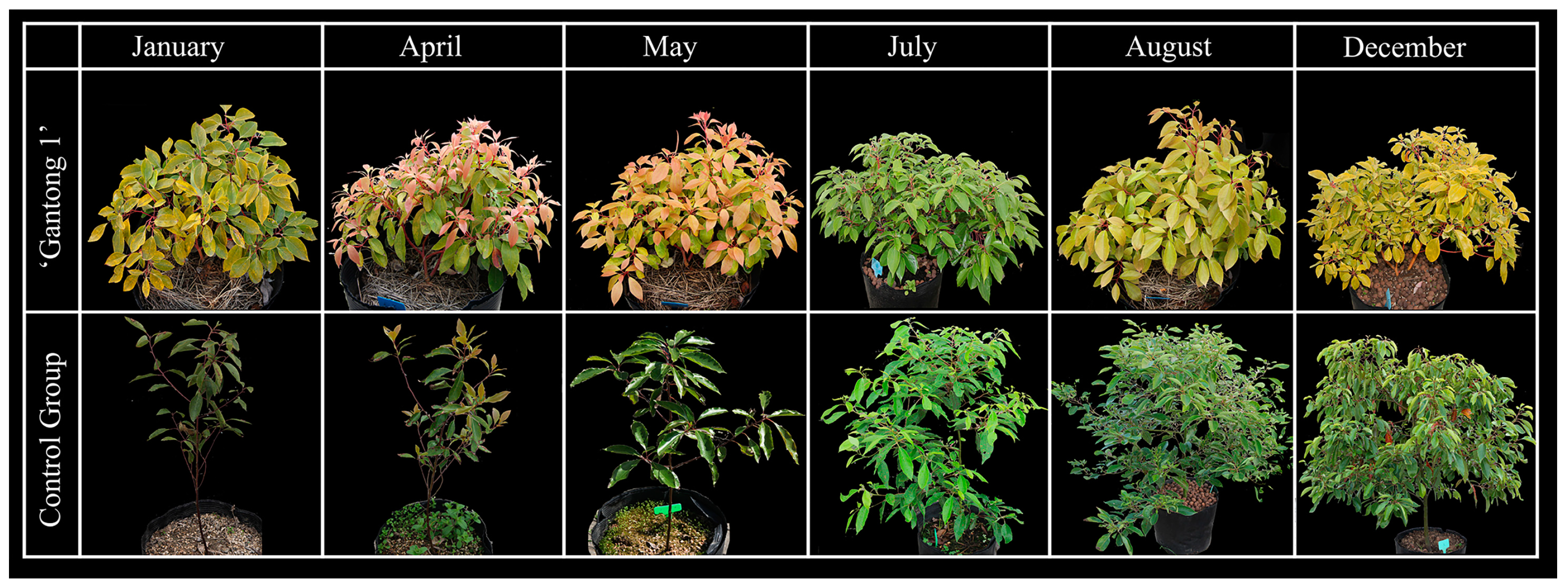 Ijms 24 03498 g007 Ijms 24 03498 g007