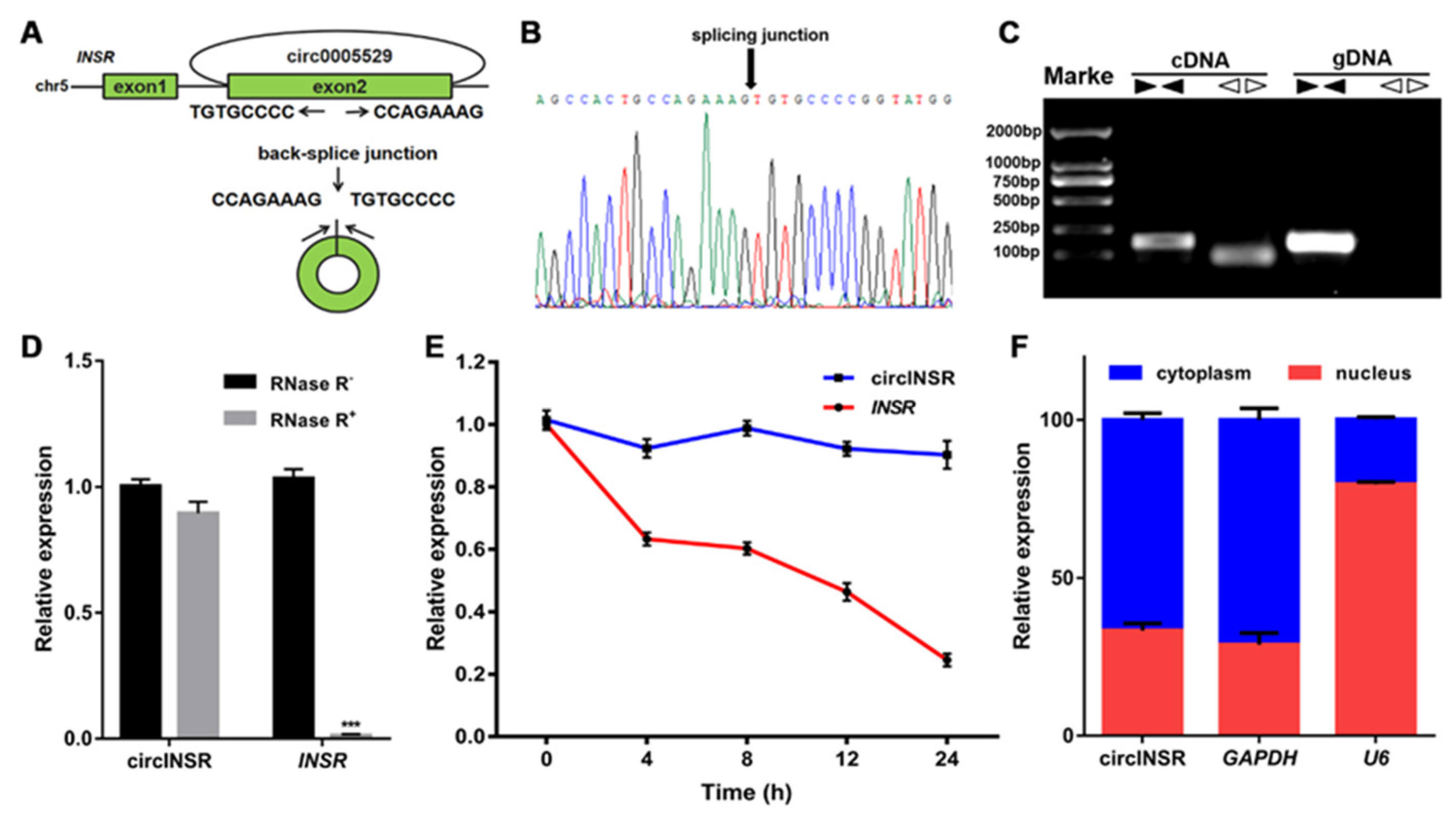 Ijms 24 03501 g001 550