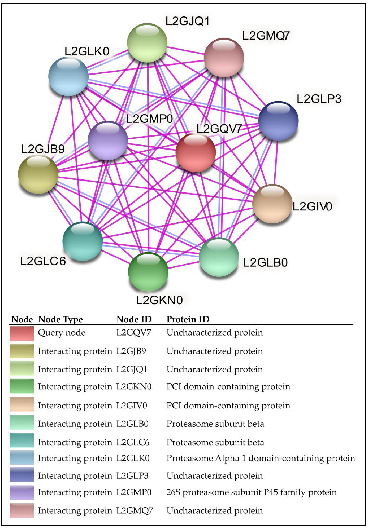 Ijms 24 03507 g004 Ijms 24 03507 g004