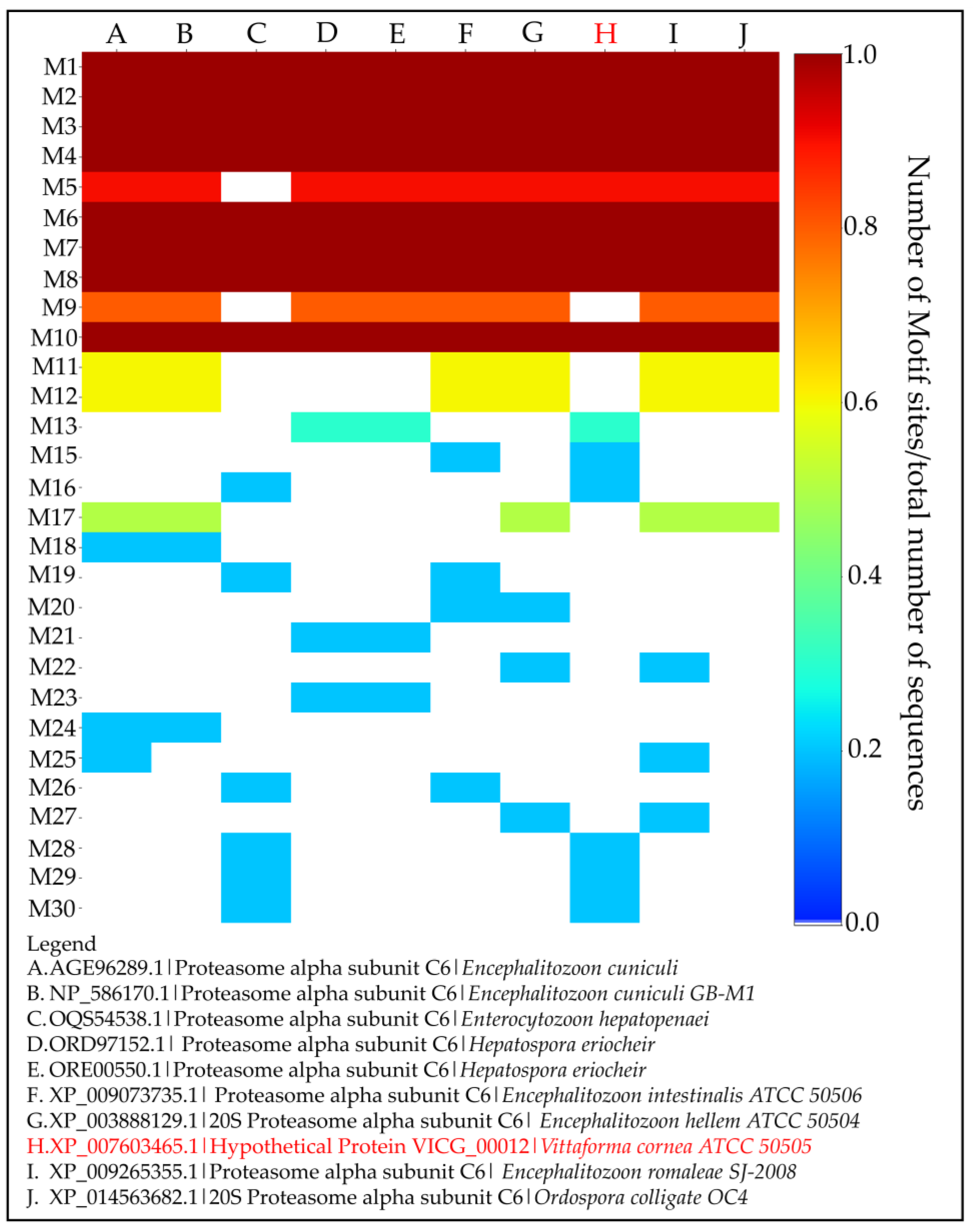 Ijms 24 03507 g005 Ijms 24 03507 g005