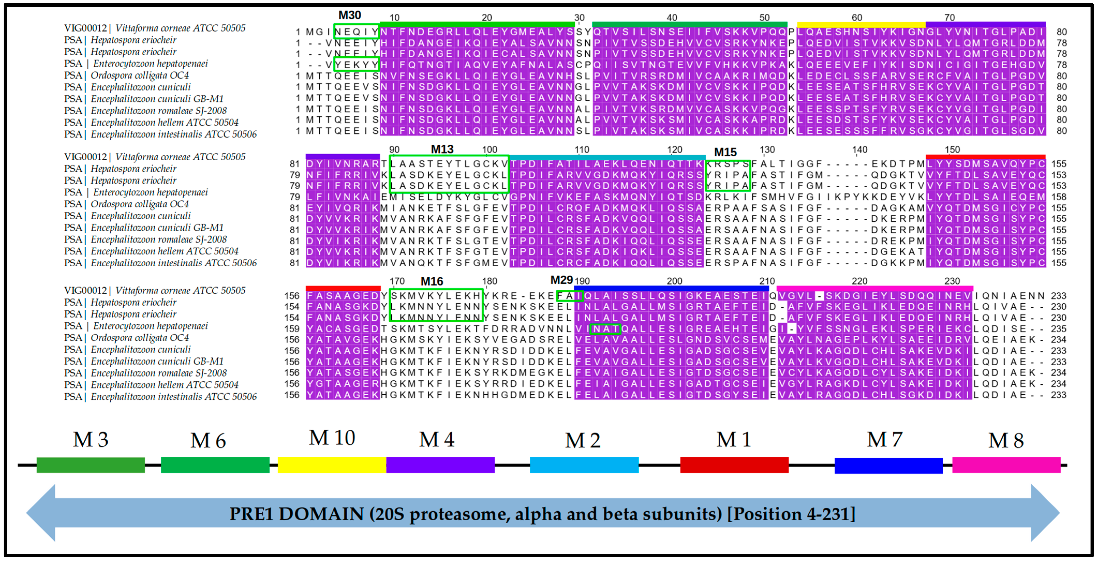 Ijms 24 03507 g006 Ijms 24 03507 g006
