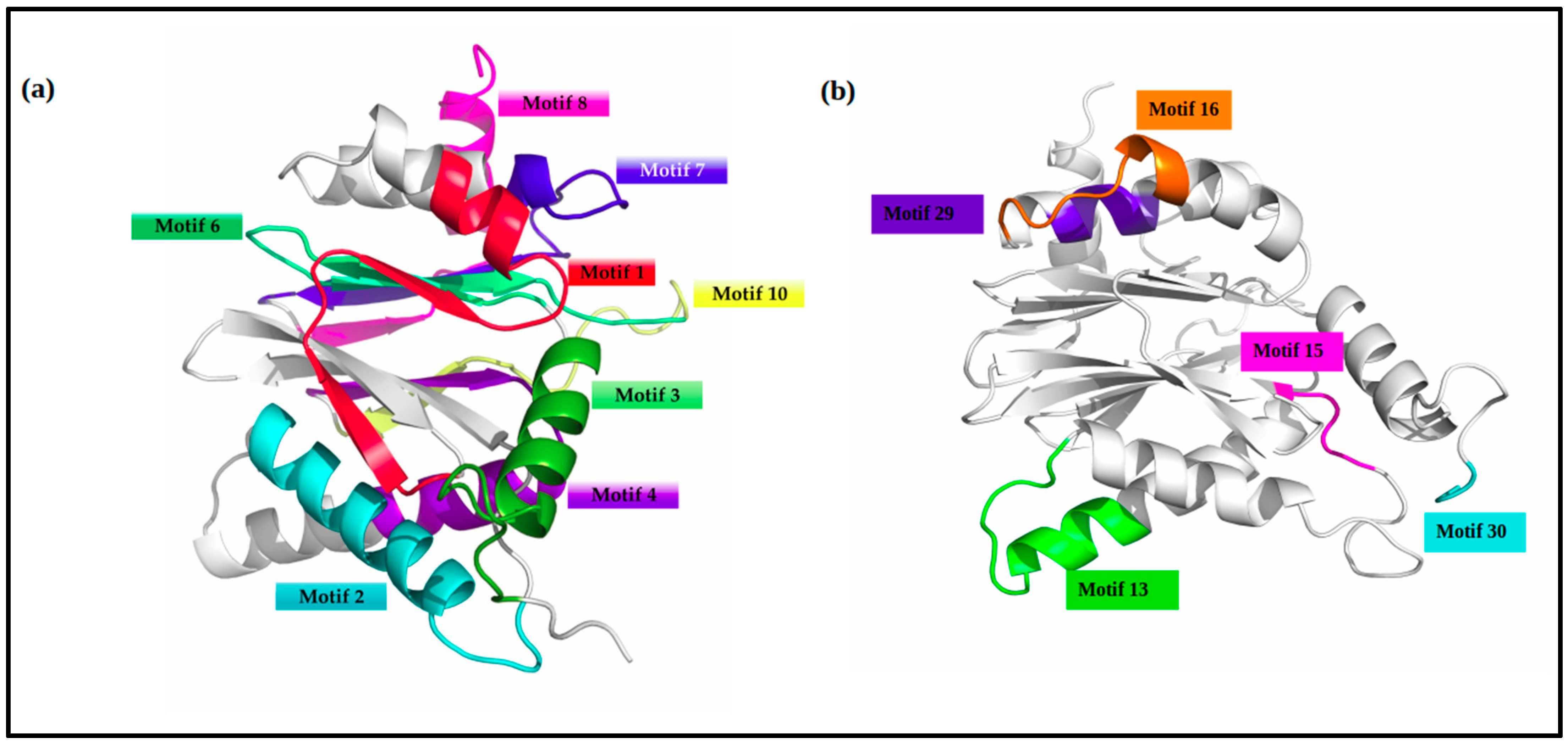 Ijms 24 03507 g007 Ijms 24 03507 g007