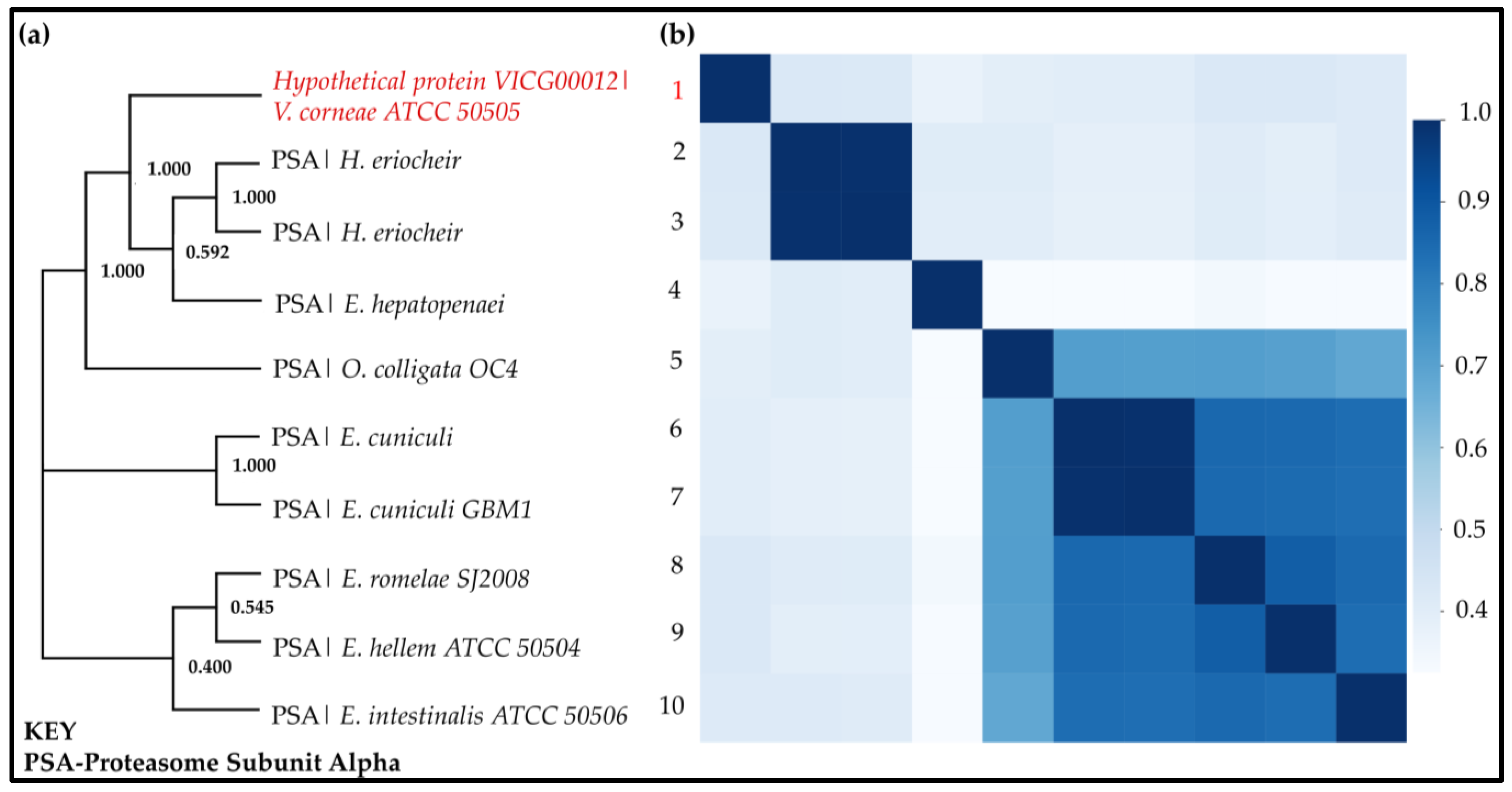 Ijms 24 03507 g008 Ijms 24 03507 g008