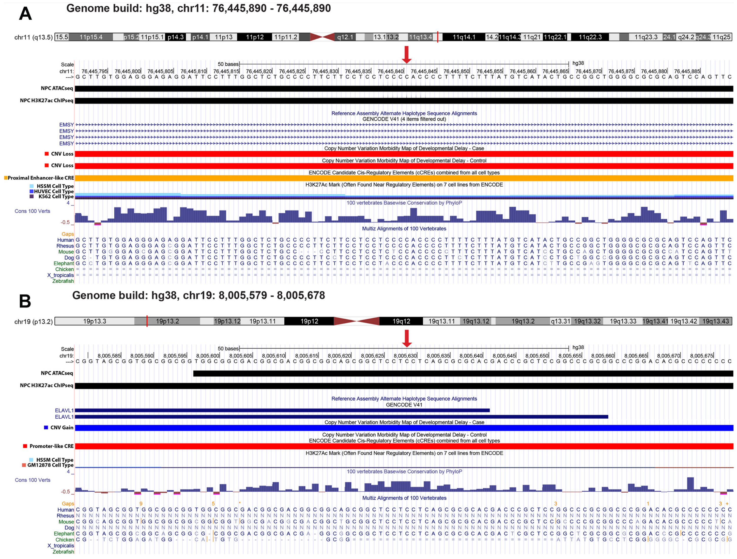 Ijms 24 03509 g006 Ijms 24 03509 g006