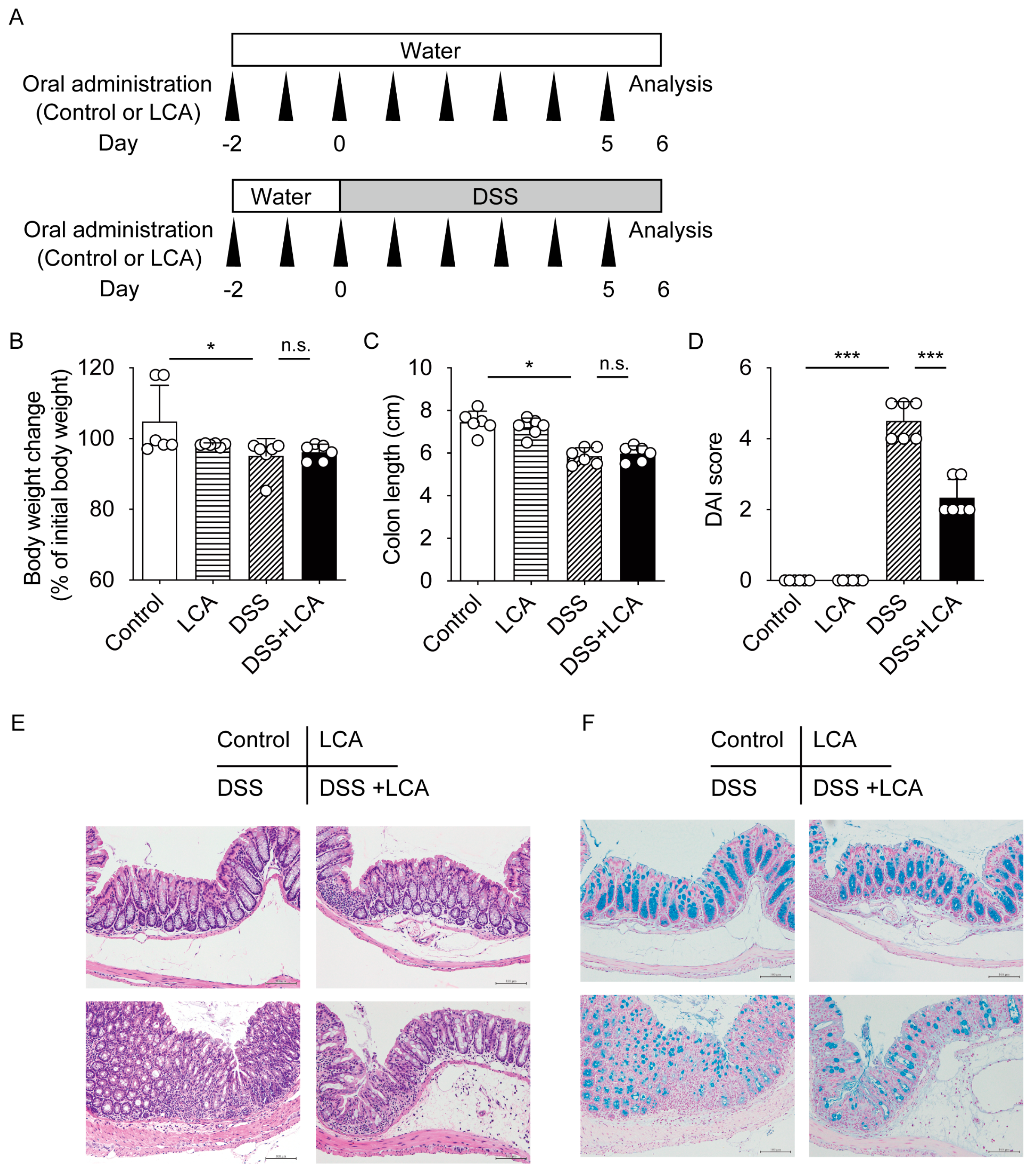 Ijms 24 03517 g002 550