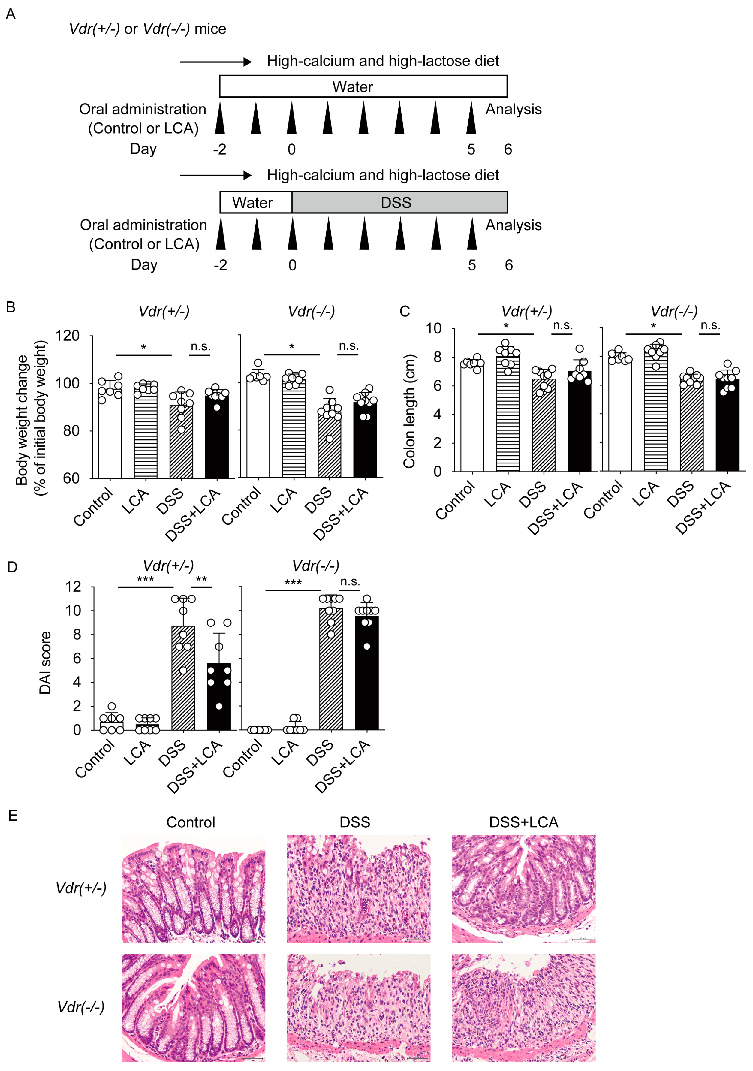 Ijms 24 03517 g003 550
