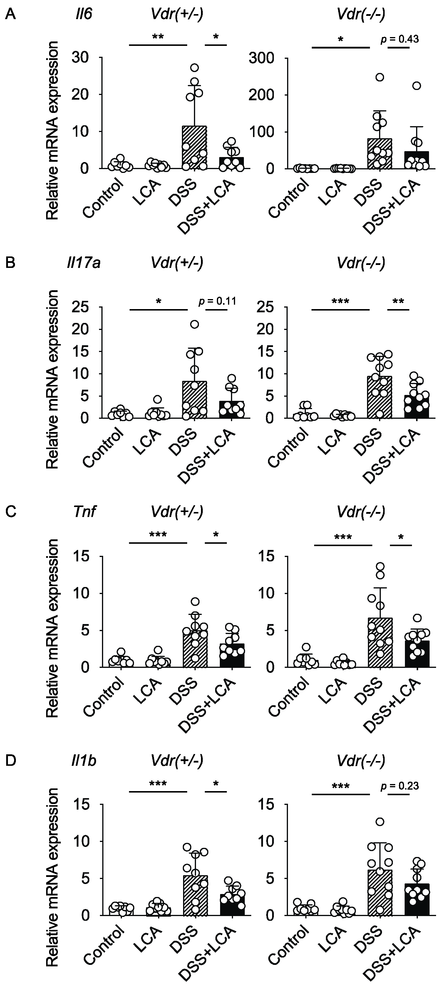 Ijms 24 03517 g004 550