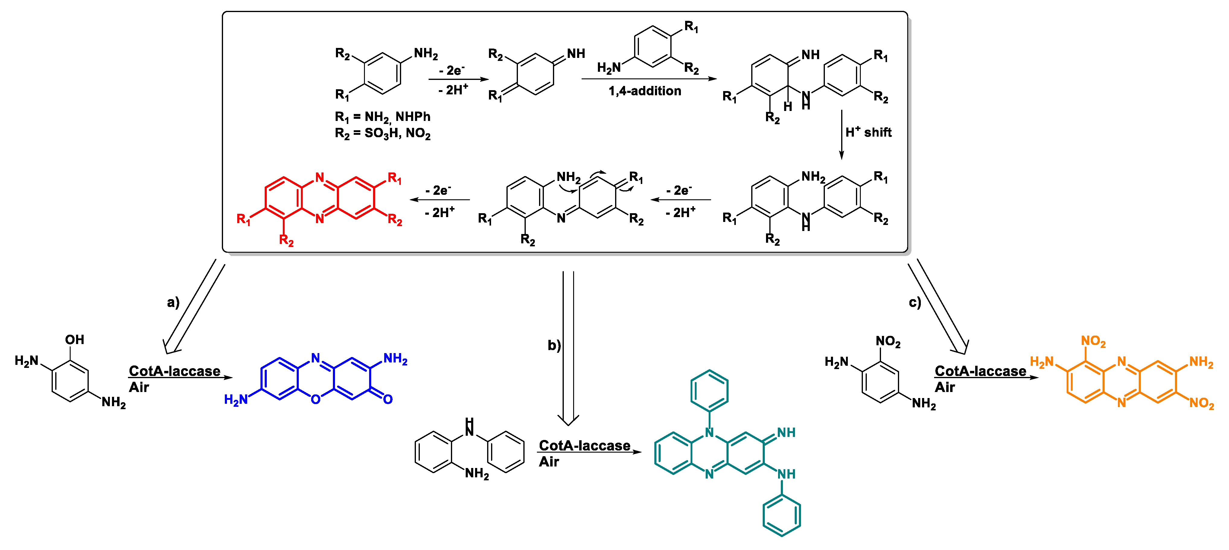 Ijms 24 03524 sch001