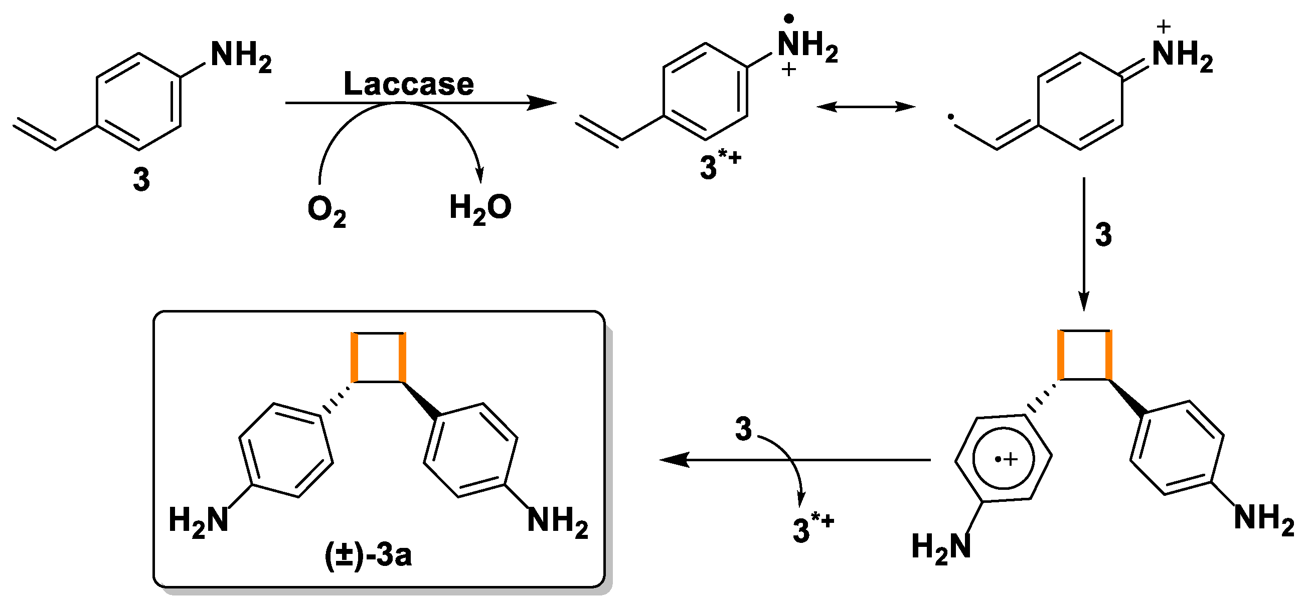 Ijms 24 03524 sch008 550