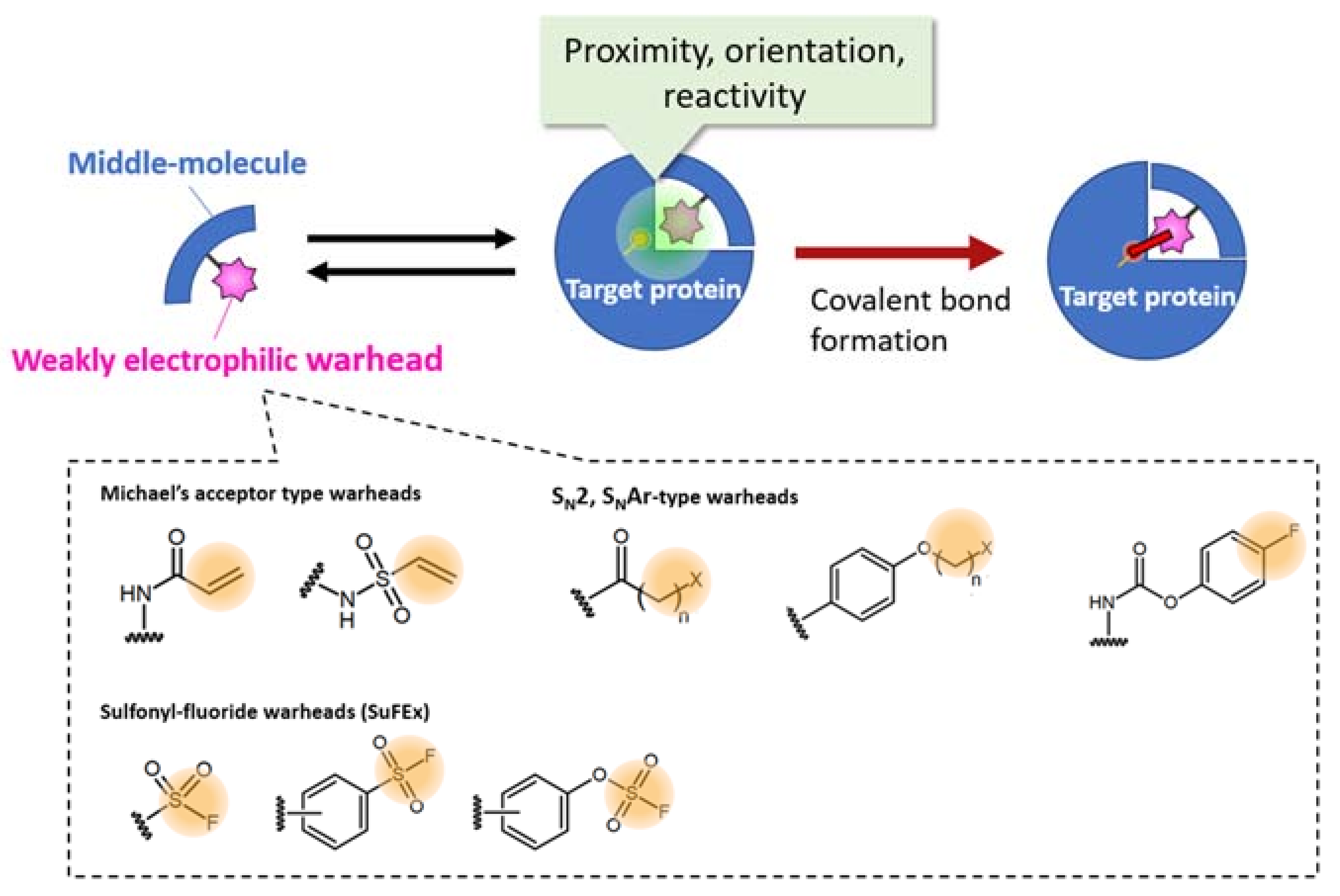 Ijms 24 03525 g003 Ijms 24 03525 g003